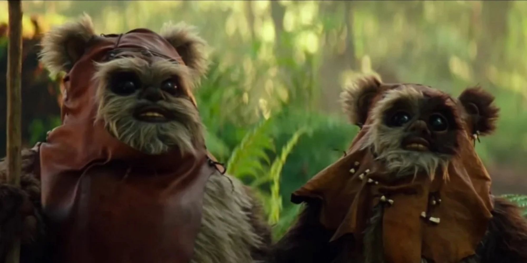 Star Wars- Return of the Jedi- Ewoks