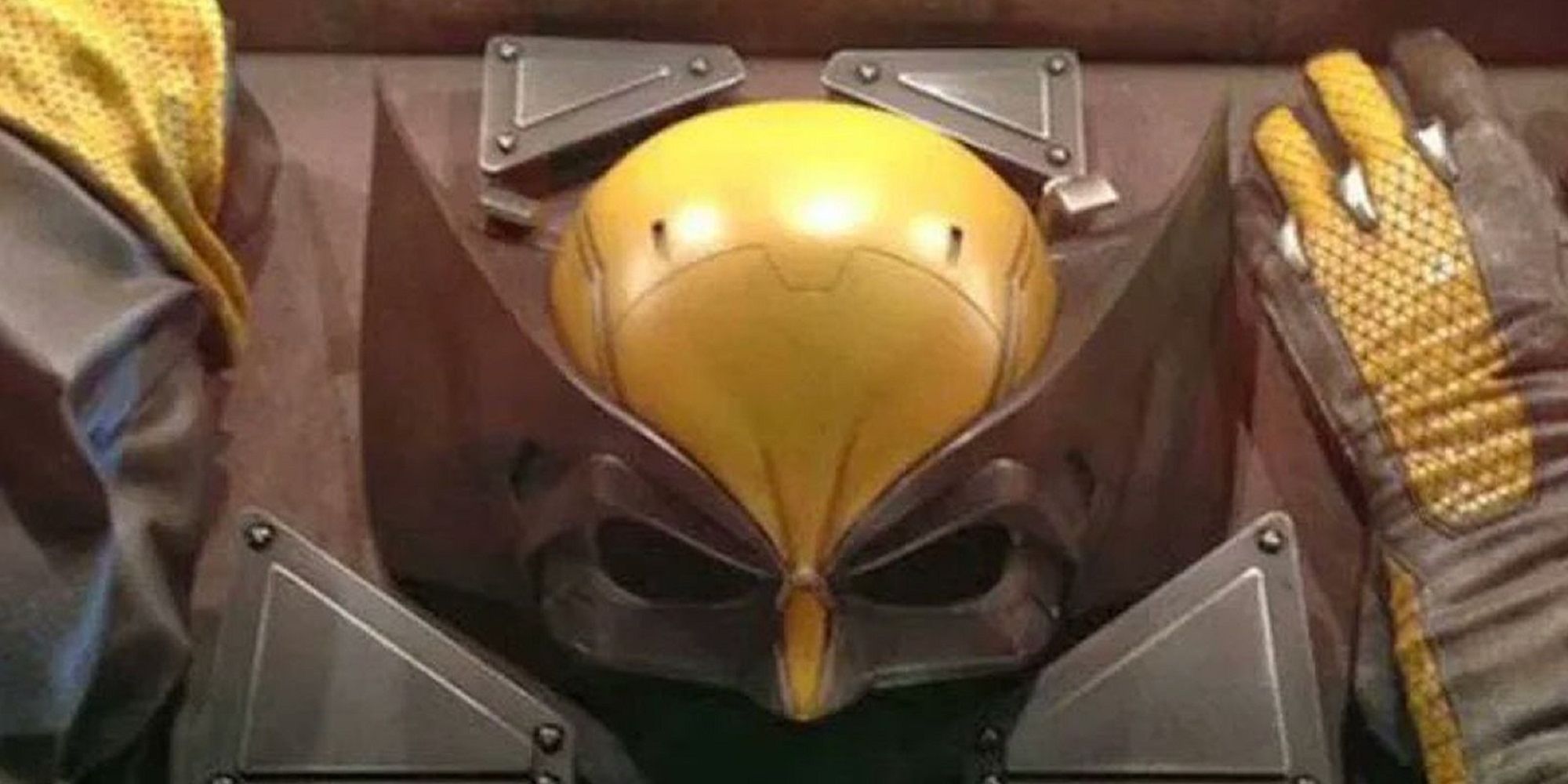 Wolverine's cowl and gloves inside a chest