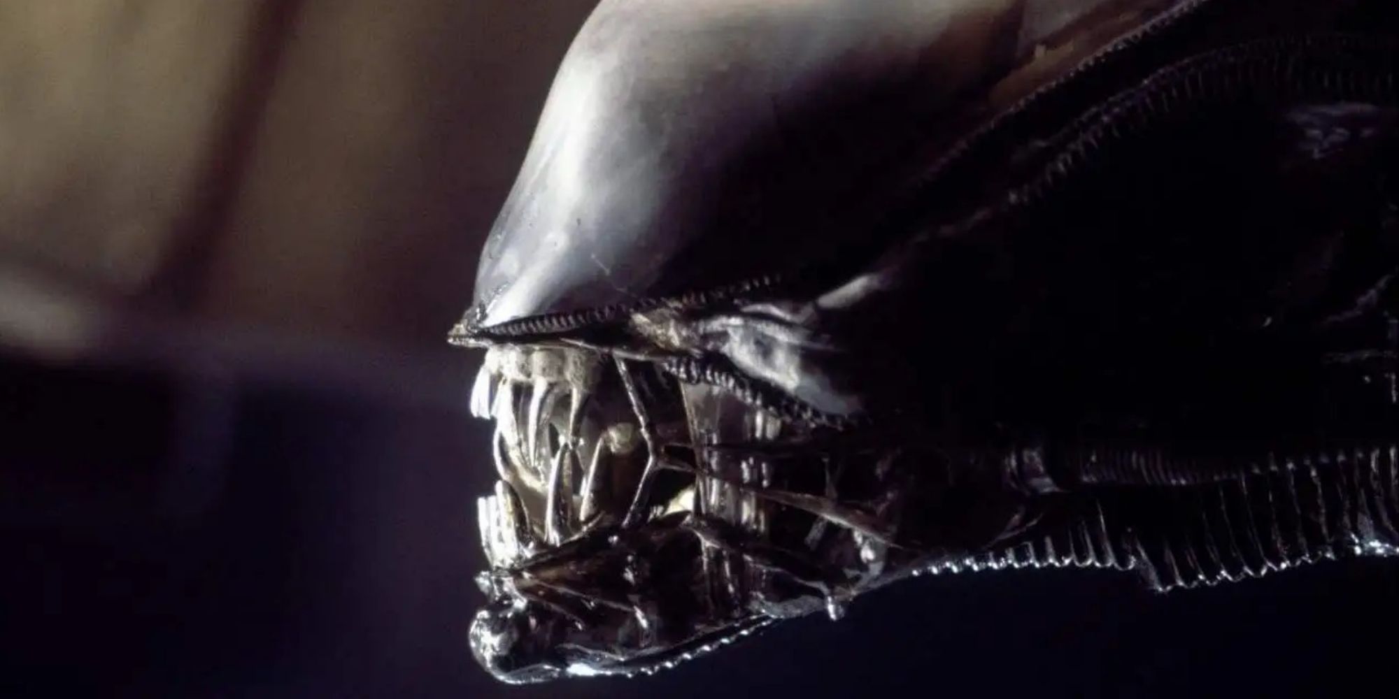 Gros plan du xénomorphe de 'Alien' (1979)