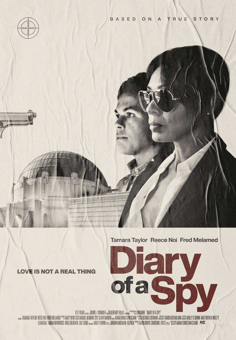 diary-of-a-spy-poster.jpeg