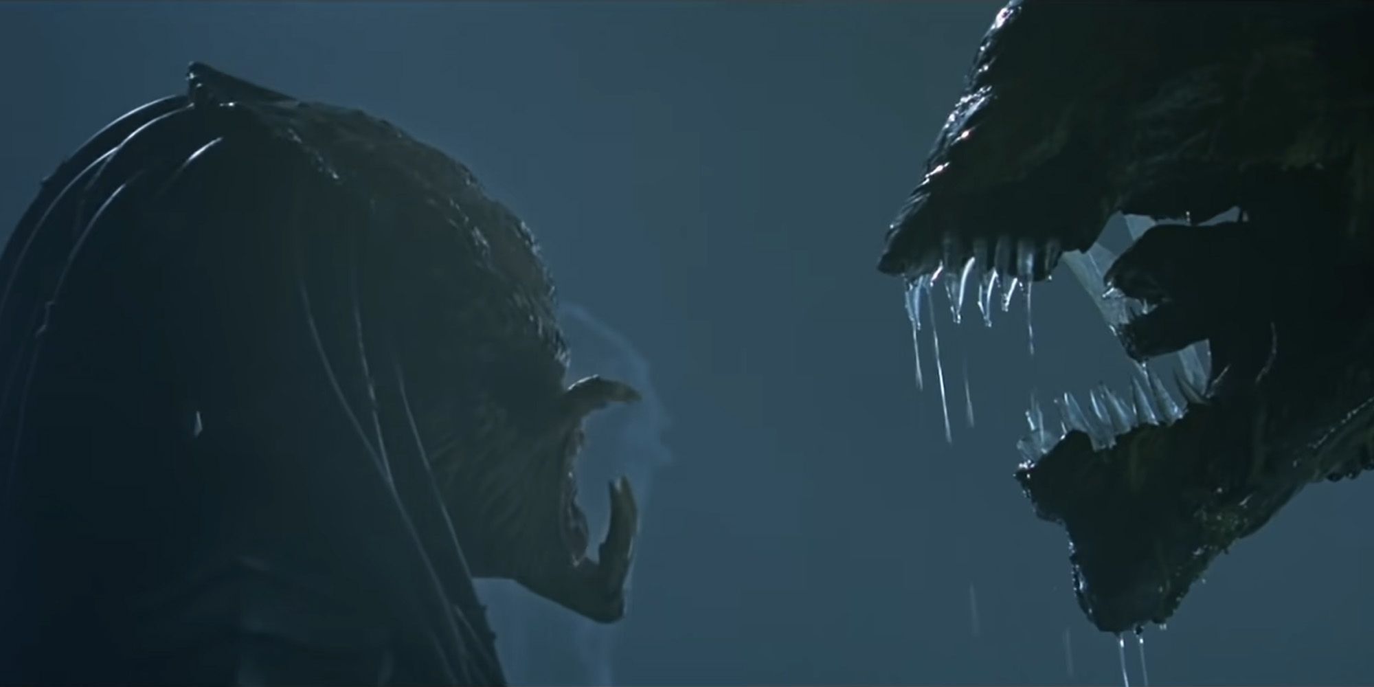 Alien vs Predator