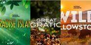 The 10 Best Wildlife Documentaries On Disney Right Now