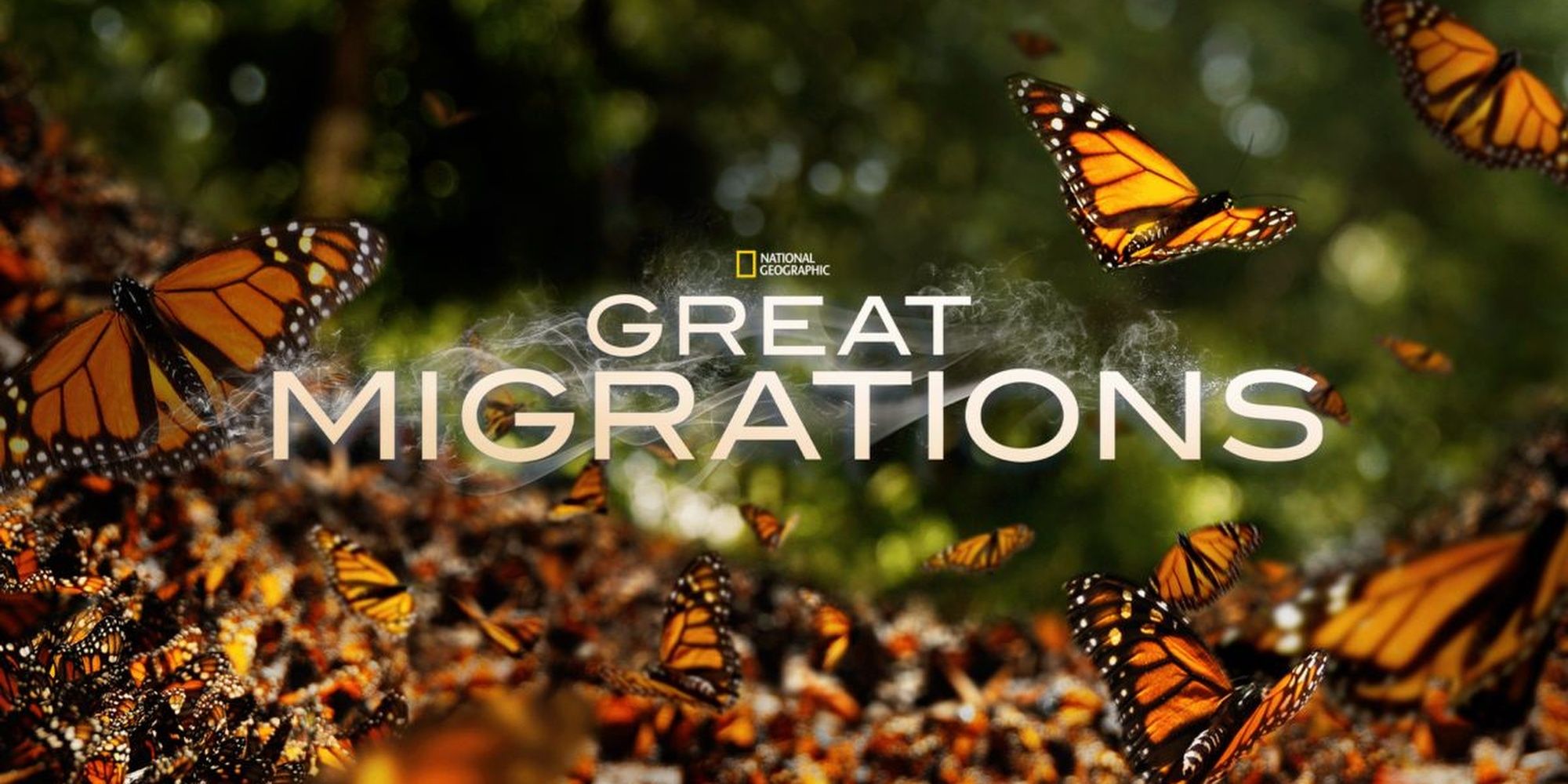 Great Migrations nat geo