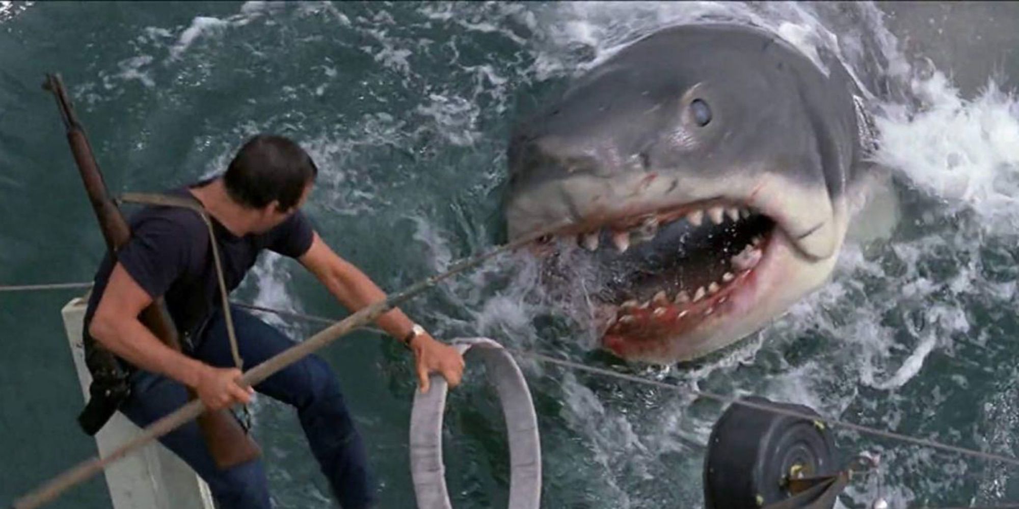 A man fighting with a great white shark