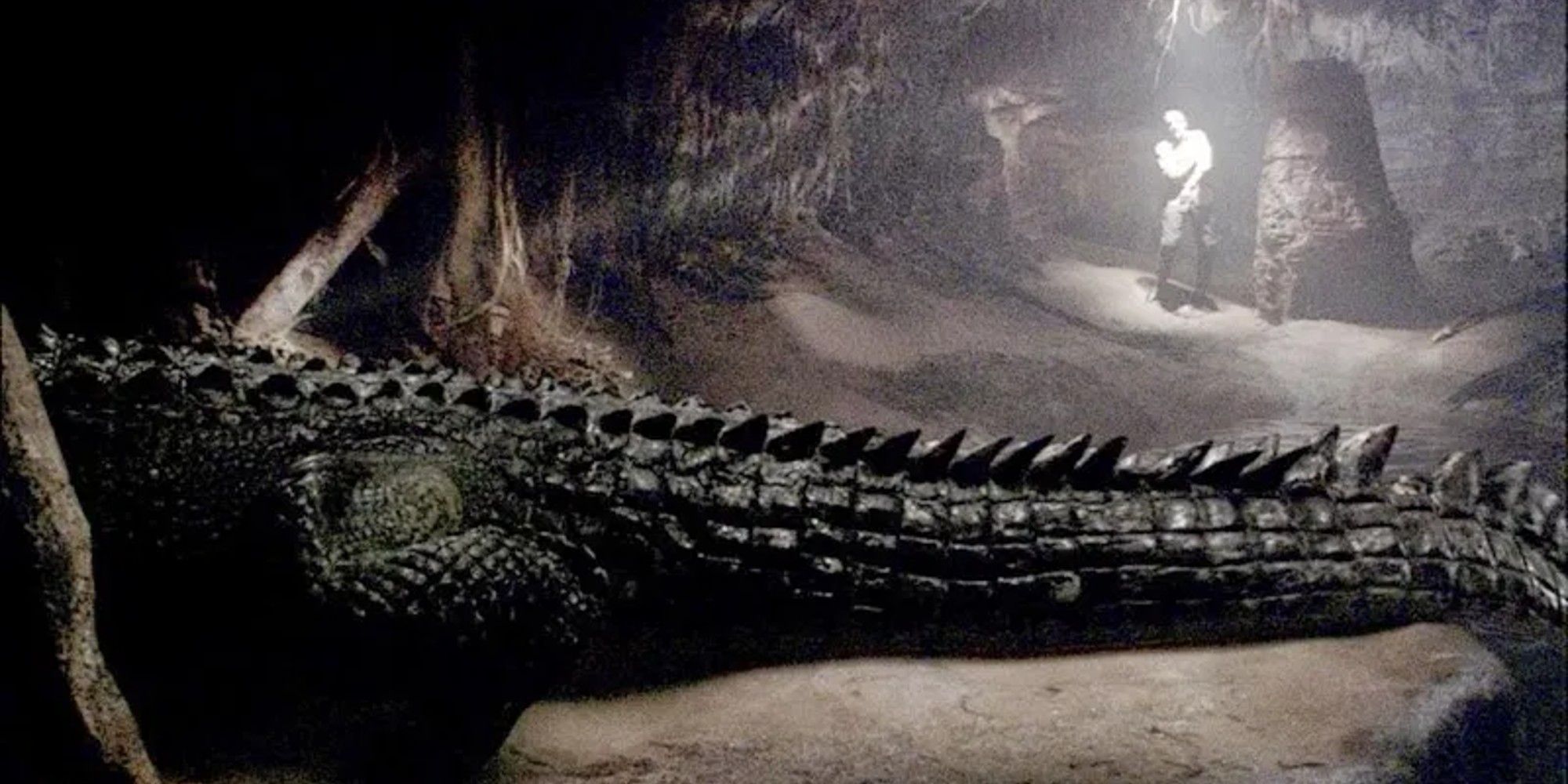 Um crocodilo está rastejando em um túnel