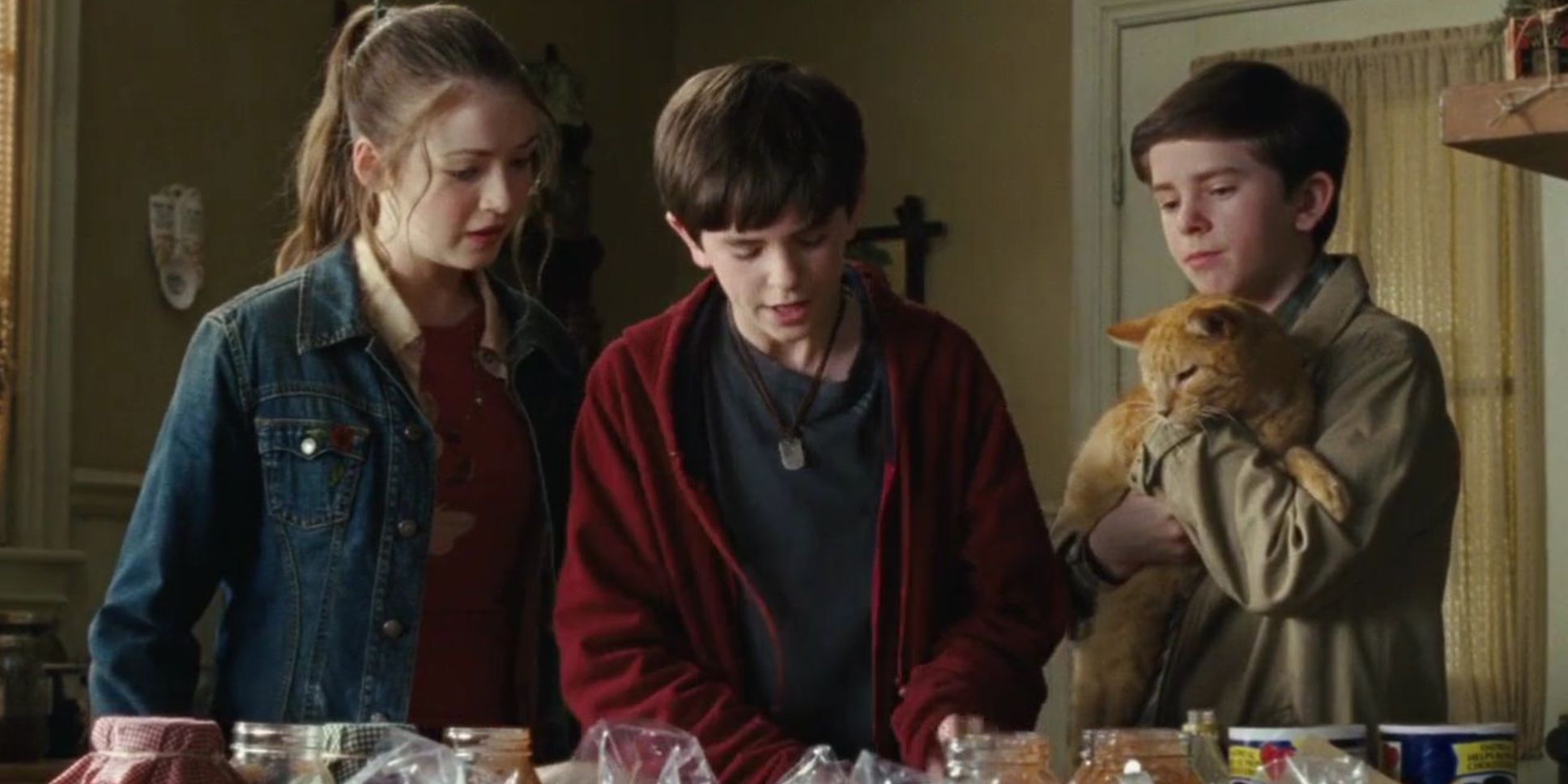 Sarah Bolger et Freddie Highmore dans 'Les Chroniques de Spiderwick'.