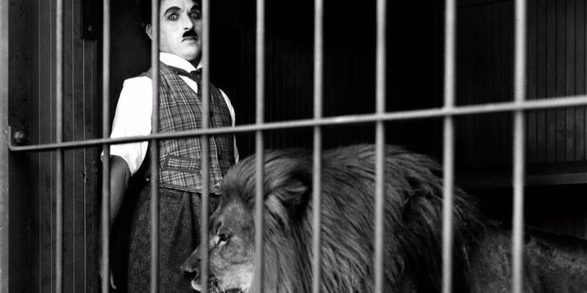 The Tramp trapped with a lion in its cage