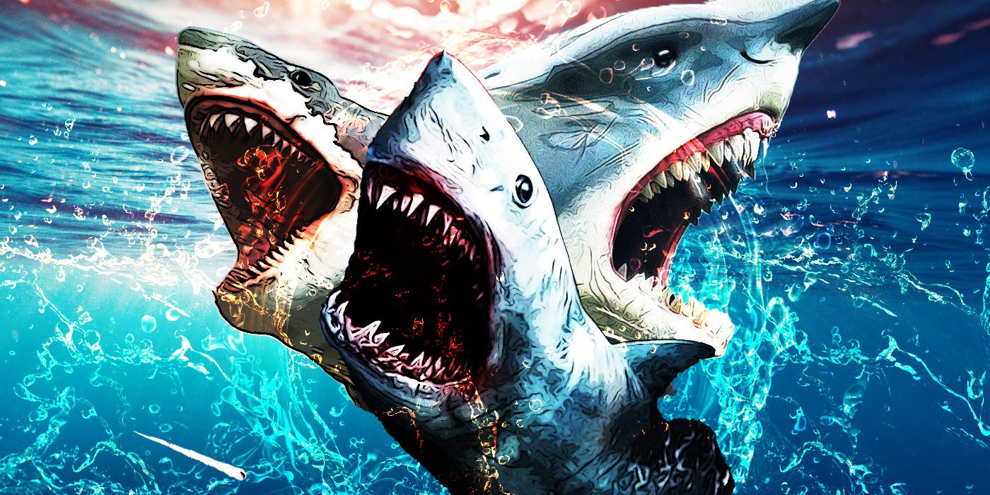 Shark Week Why Do We Love Schlock Shark Movies?