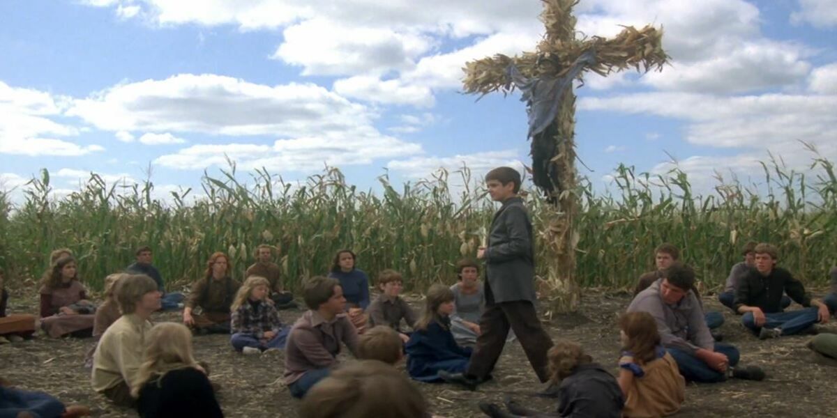 Um grupo de crianças em um campo de milho