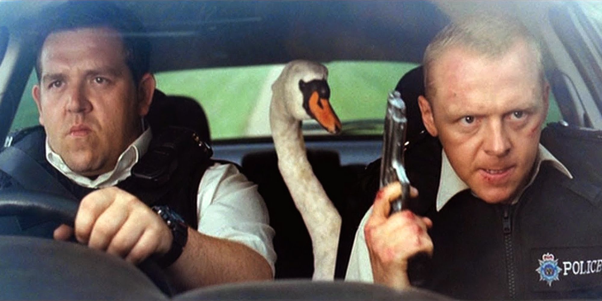 Dois policiais estão dirigindo com um cisne entre eles