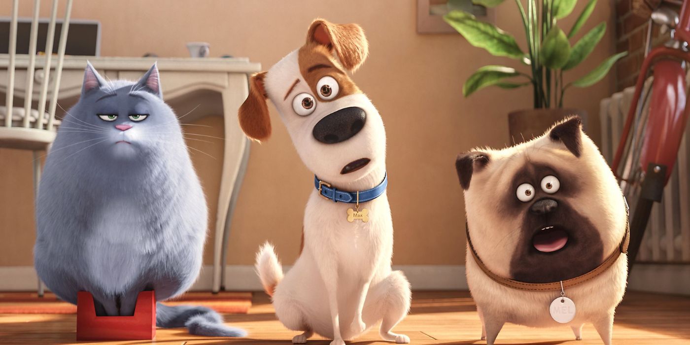 An unimpressed cat and two surprised dogs look ahead in The Secret Life of Pets 2