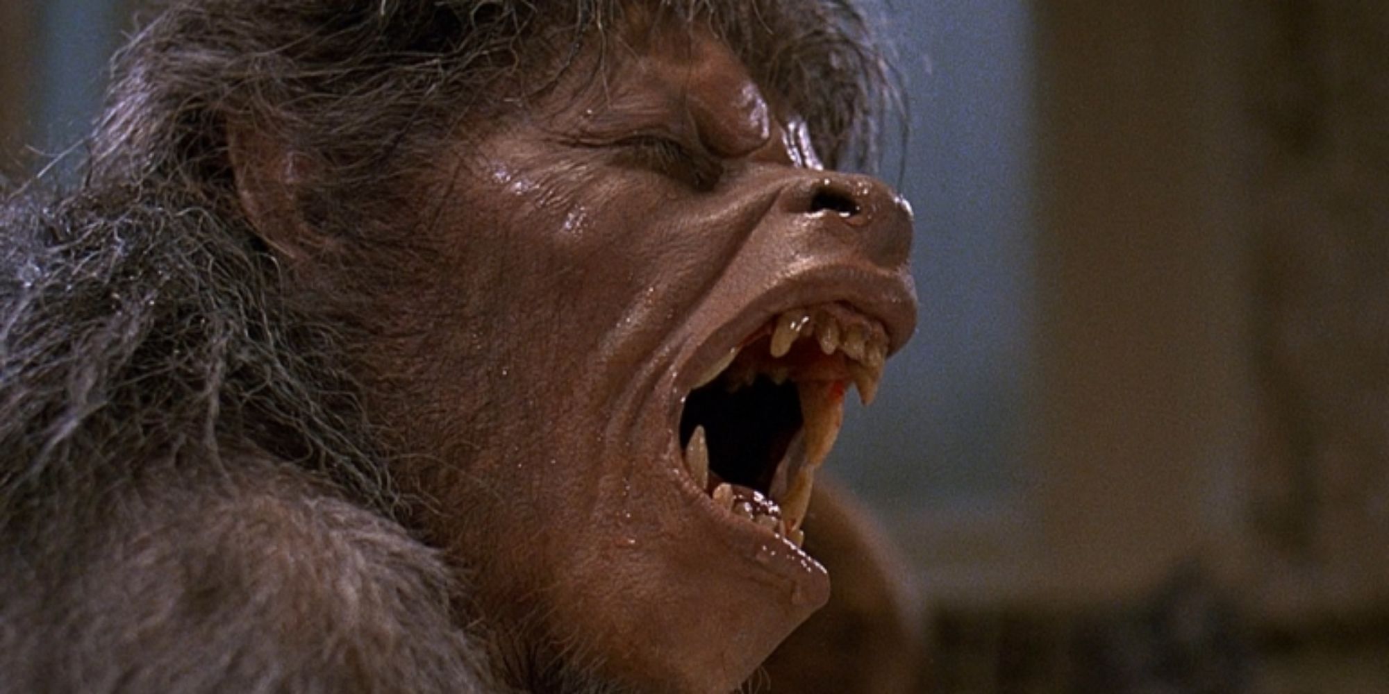 American Werewolf