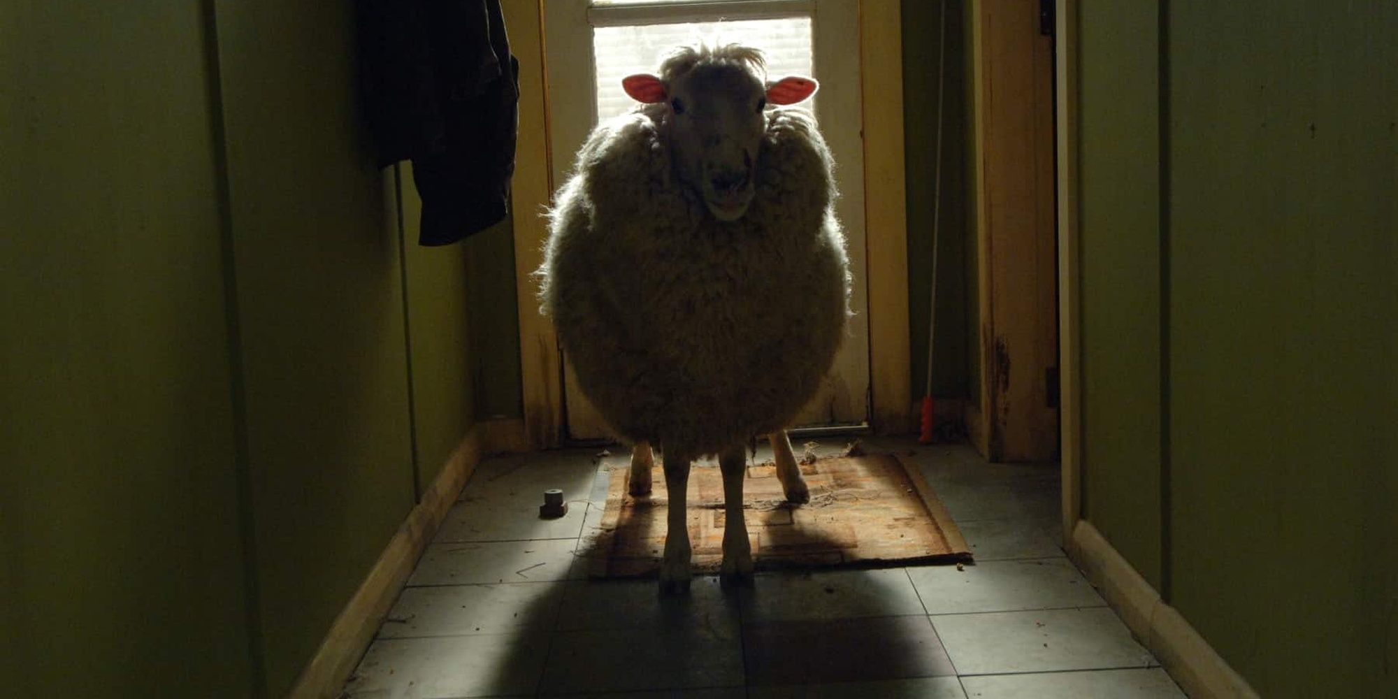 A sheep stands ominously in a darkened hallway