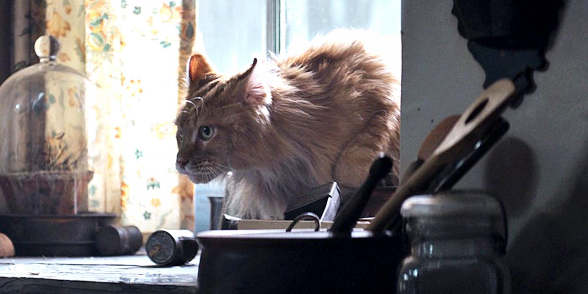 10 Best Movie Cats, From Goose to Mrs. Norris