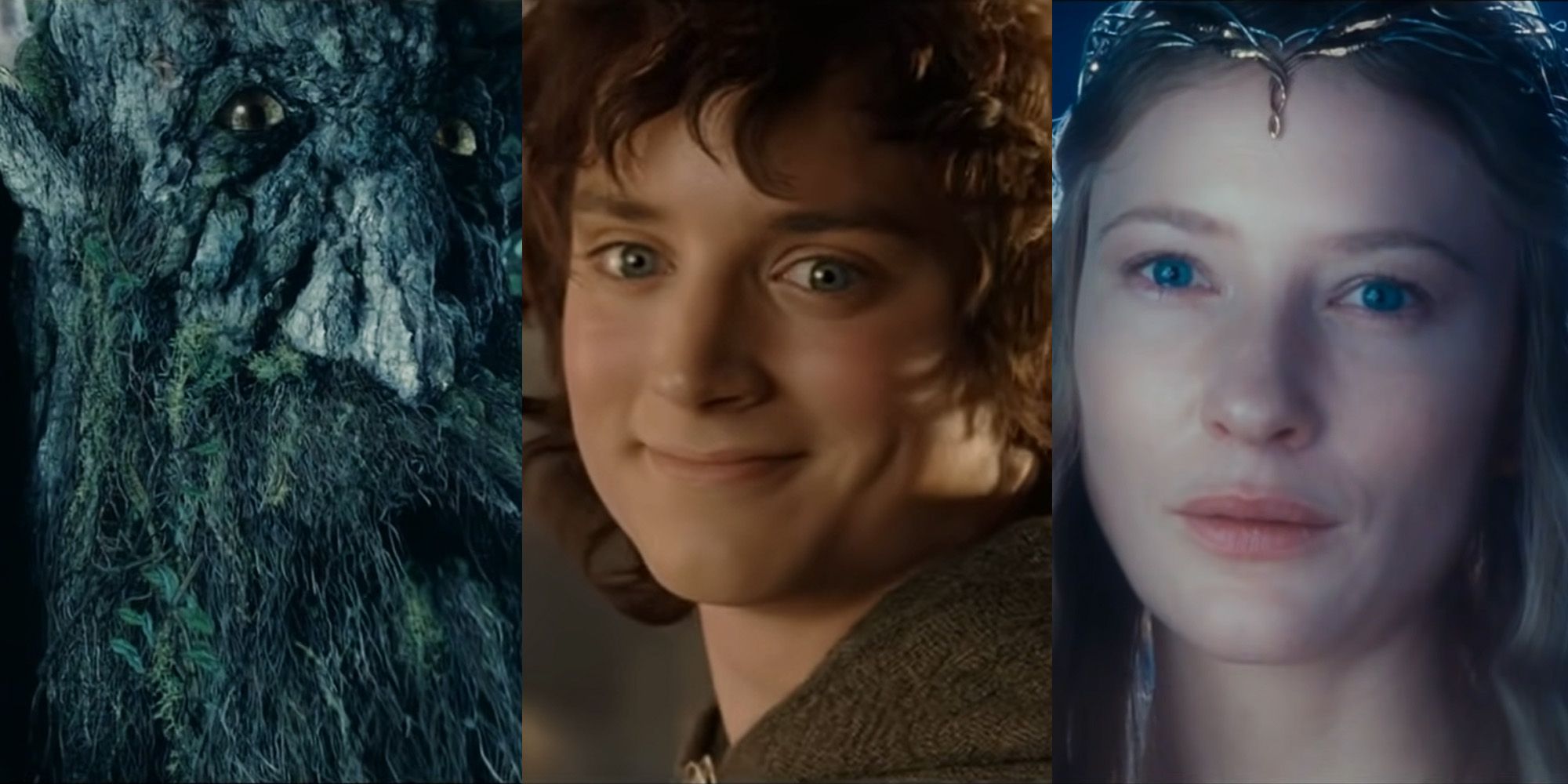 Treebeard, Frodo, Galadriel