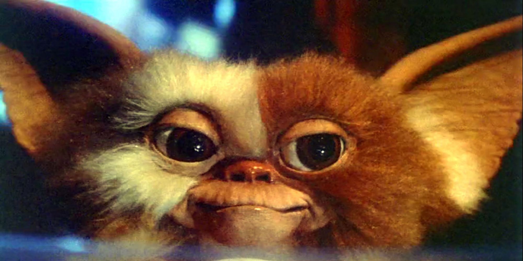 A closeup of Gizmo's face in 'Gremlins'