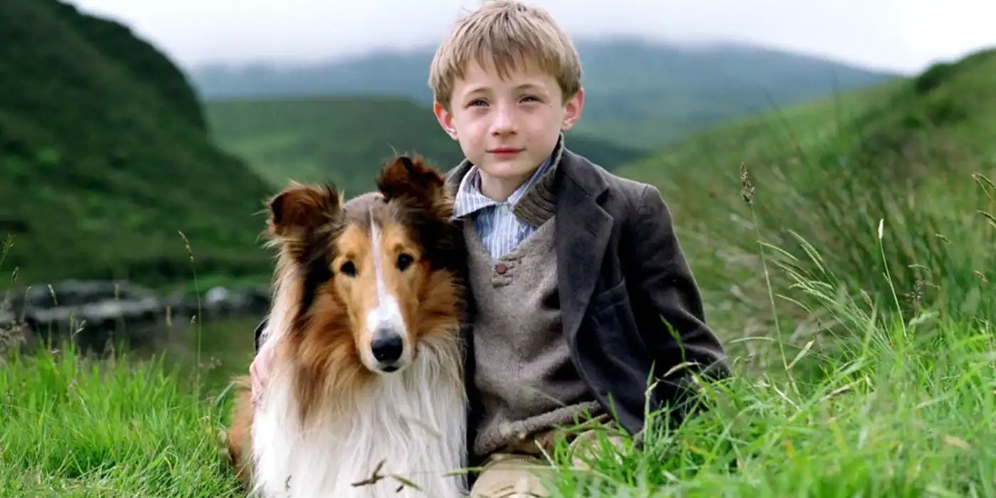 Lassie - Lassie and Kid in the Grass