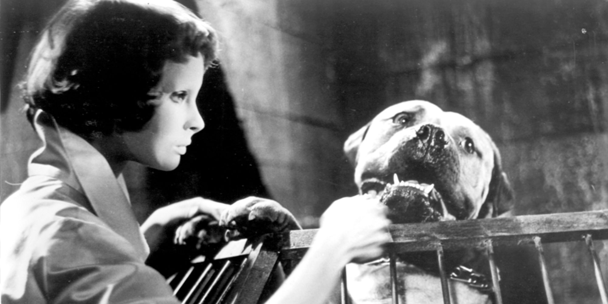 10 Classic, Black & White Horror Movies You Can Watch Now