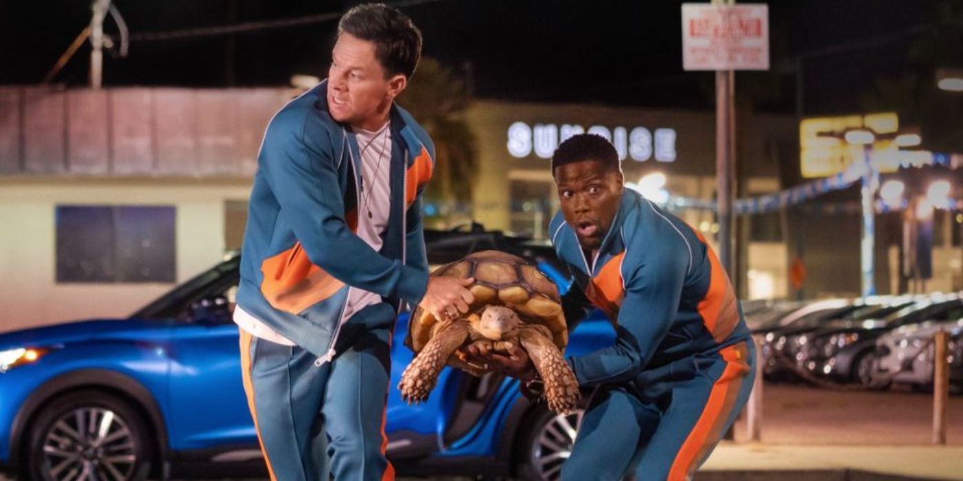 Me Time Hart And Wahlberg Holding A Turtle