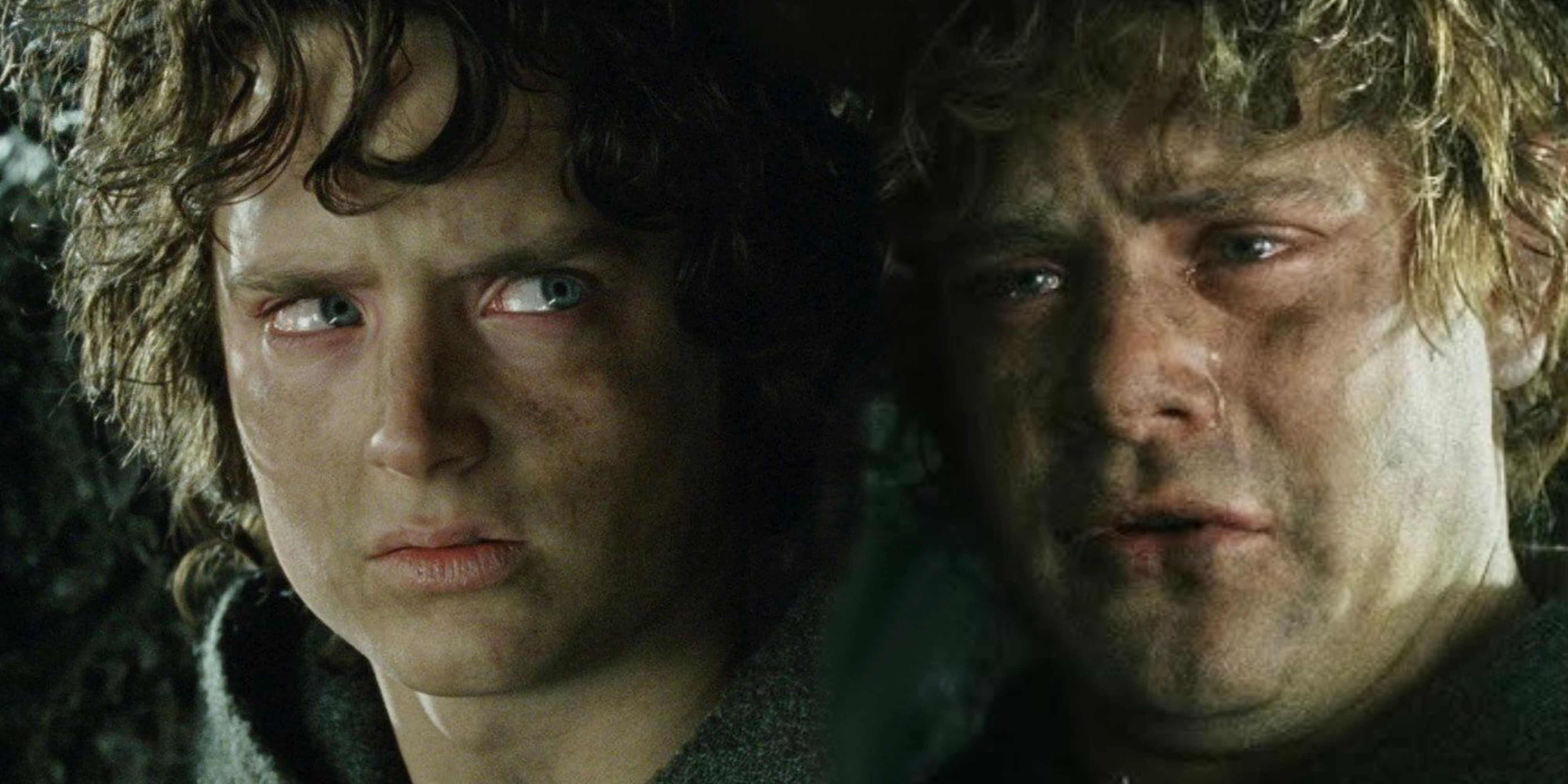 Parting of Frodo and Sam