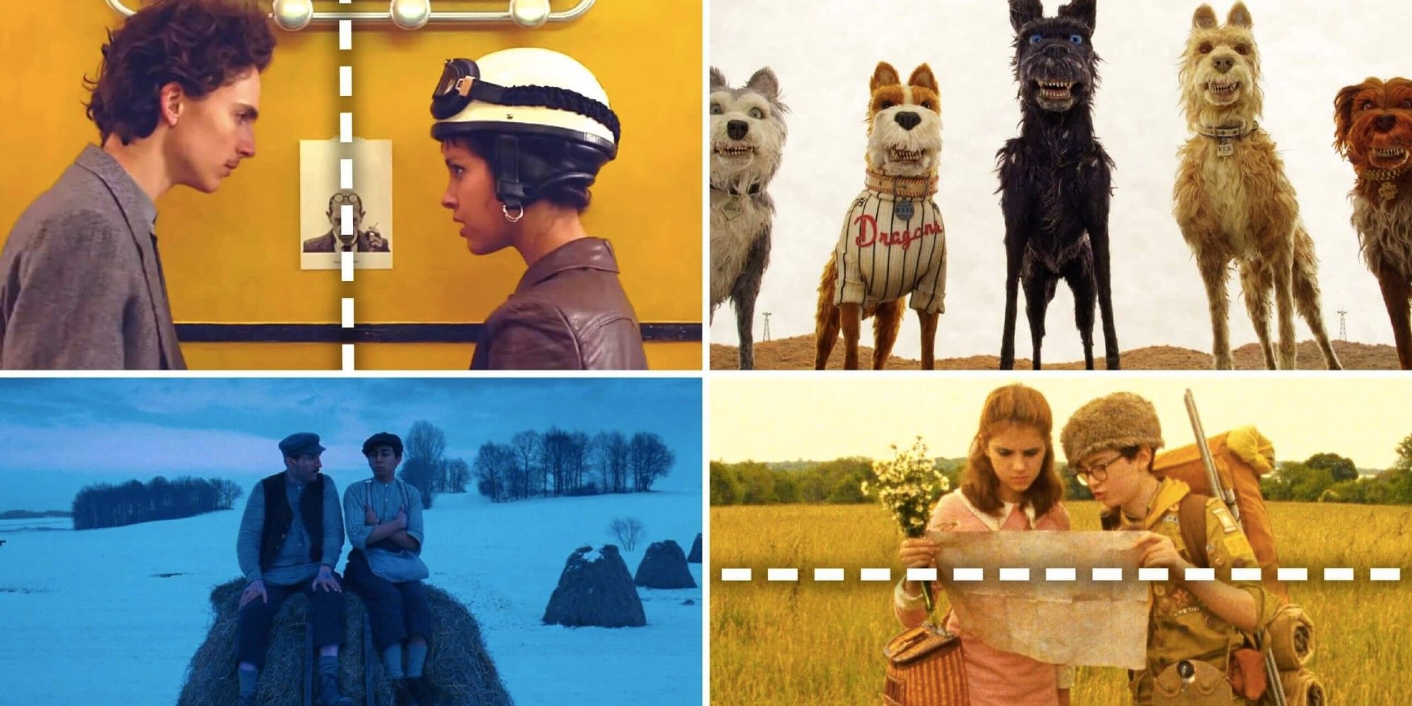 Examples of Symmetry in Wes Anderson Films
