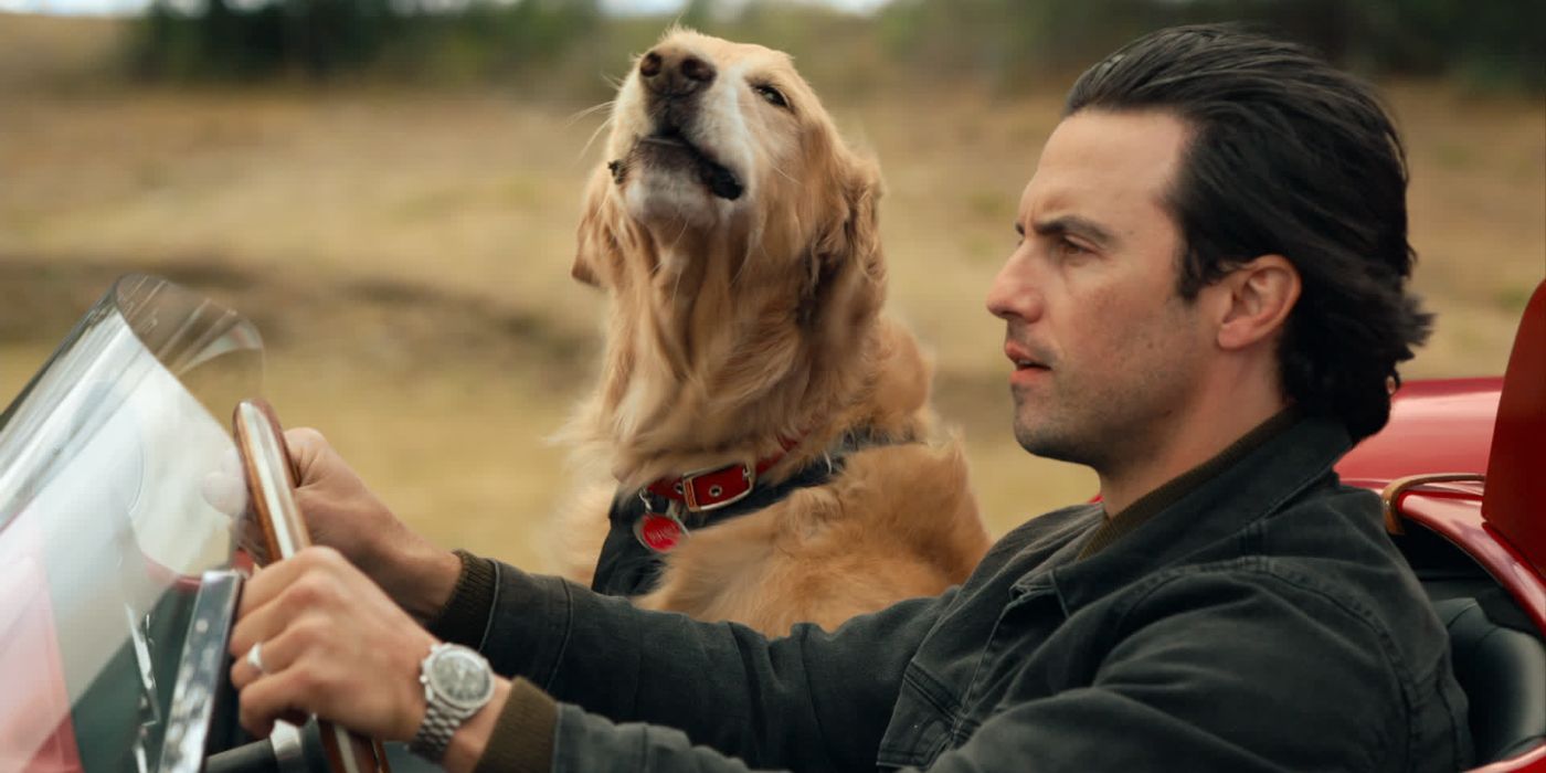 The Art Of Racing In The Rain - Dog and Owner In The Car