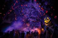 Universal Studios Orlando Hhn 2025 Tickets James E Chavis