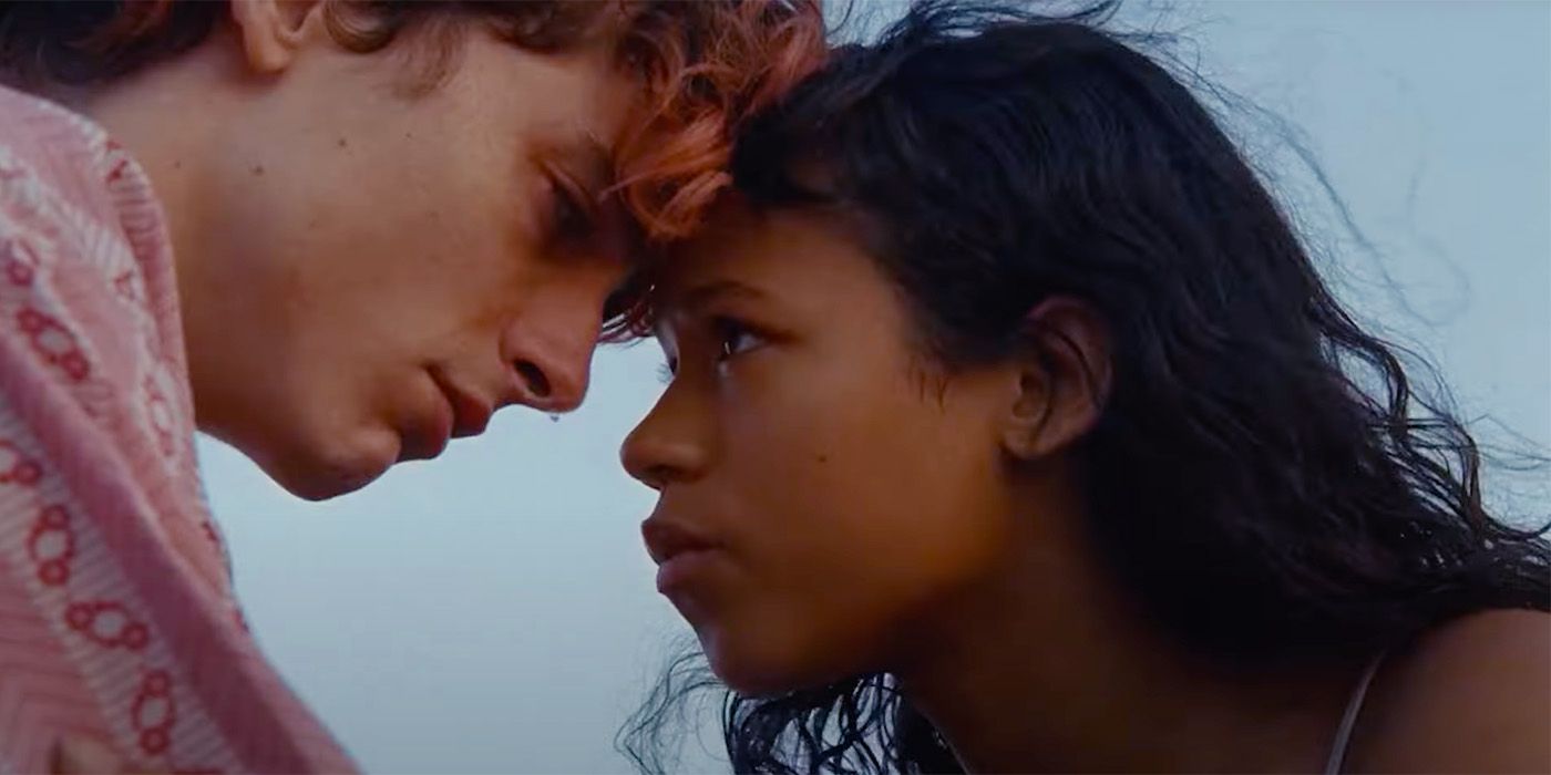 Timothée Chalamet and Taylor Russell Star in Bones and All Teaser Trailer