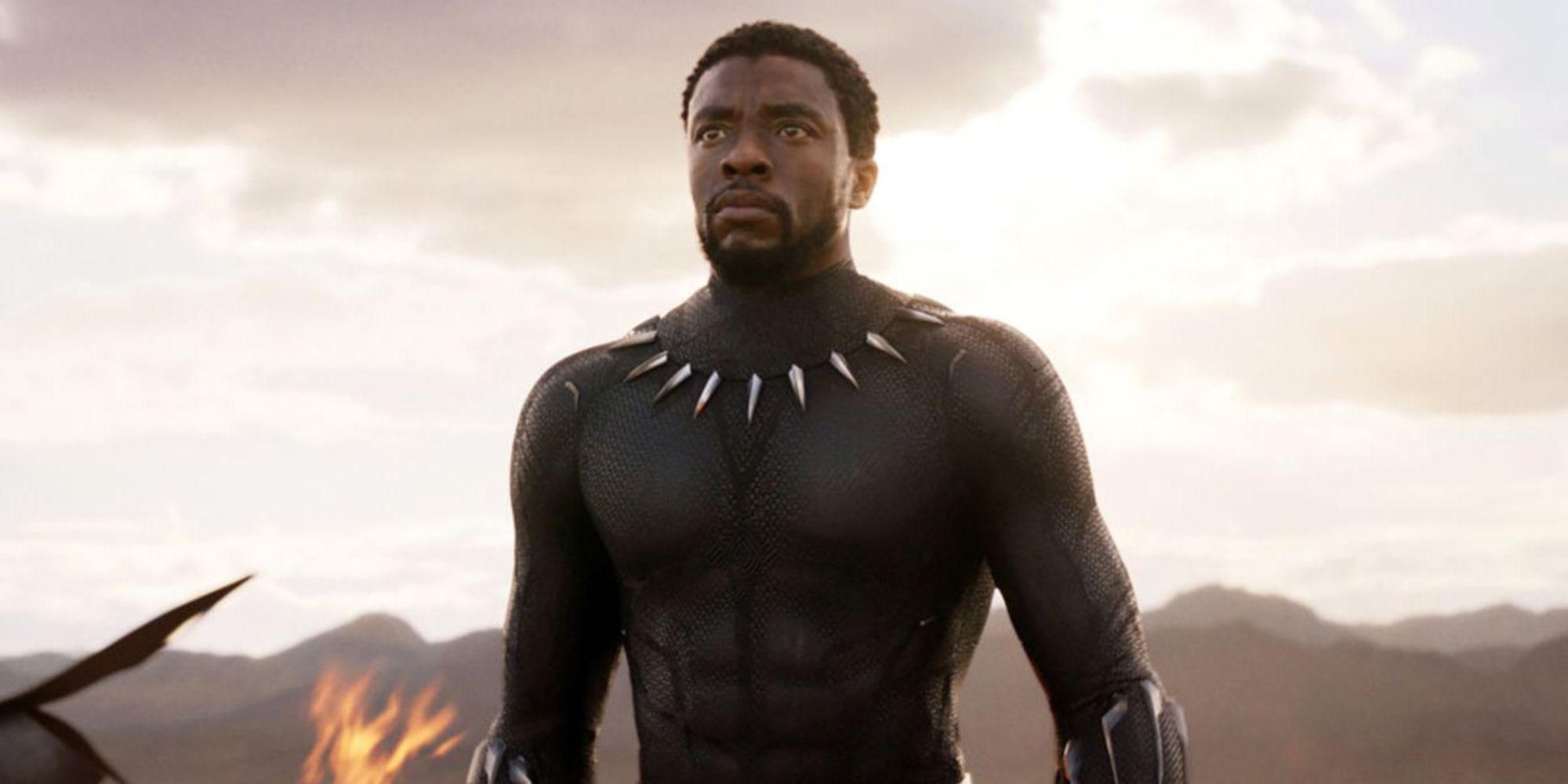 Chadwick Boseman as T'Challa Black Panther