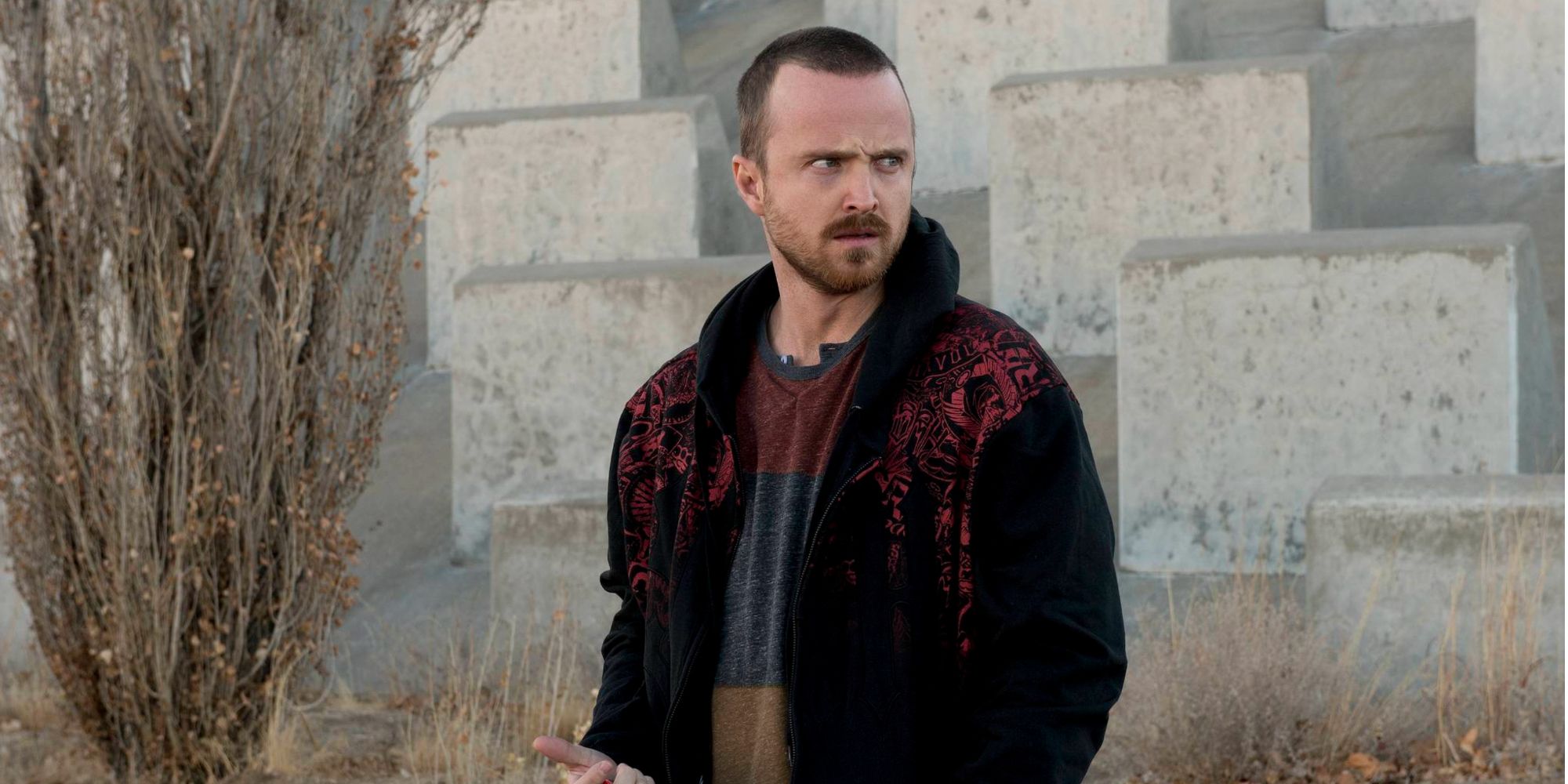 Aaron Paul as Jesse Pinkman in Breaking Bad - 'Confessions'