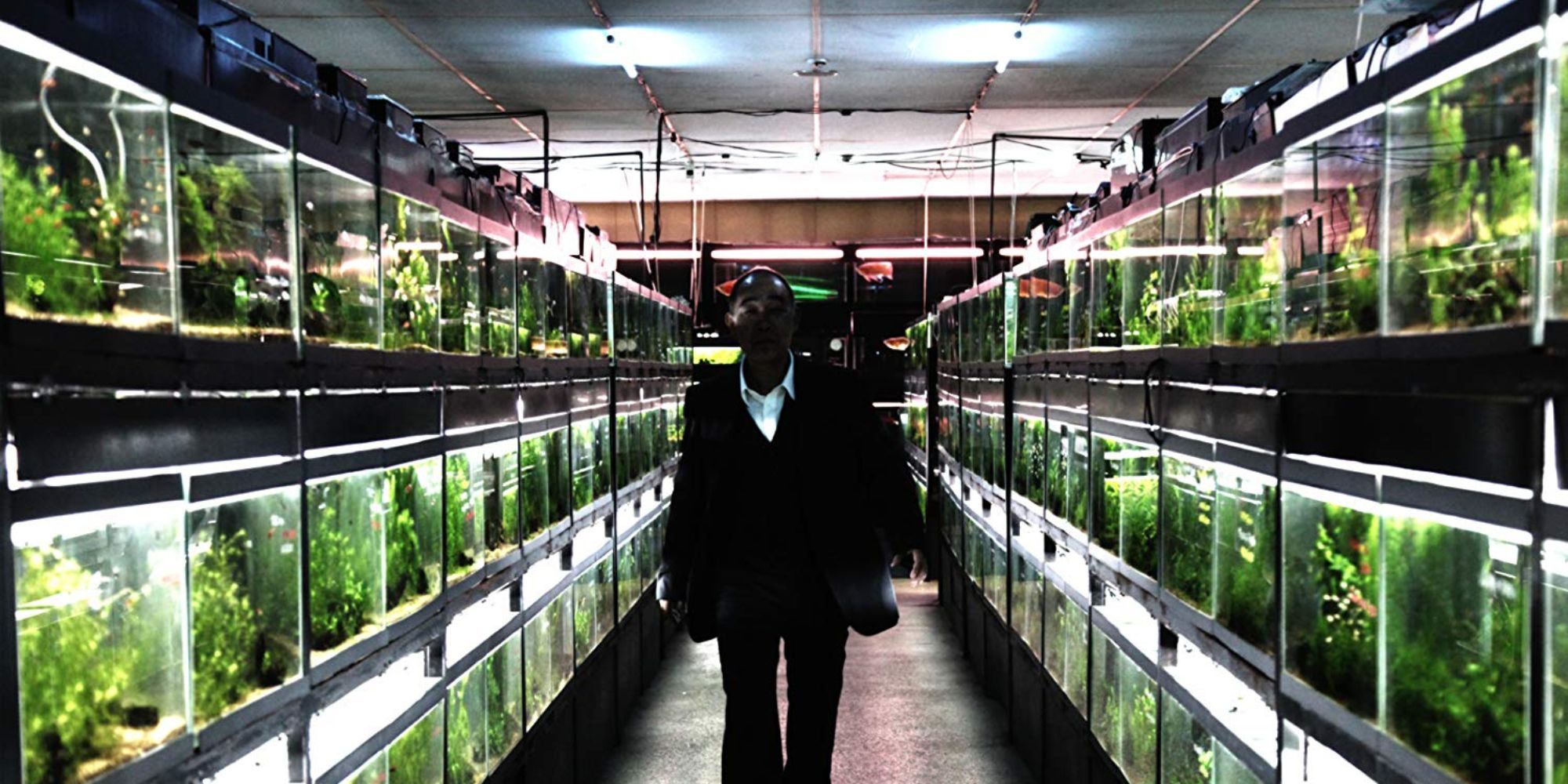 A man surrounded by lanes of tropical fish tanks in Cold Fish (2010)