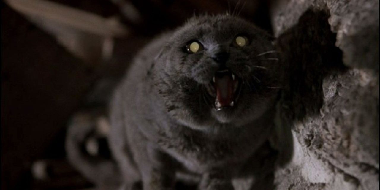Pet Sematary