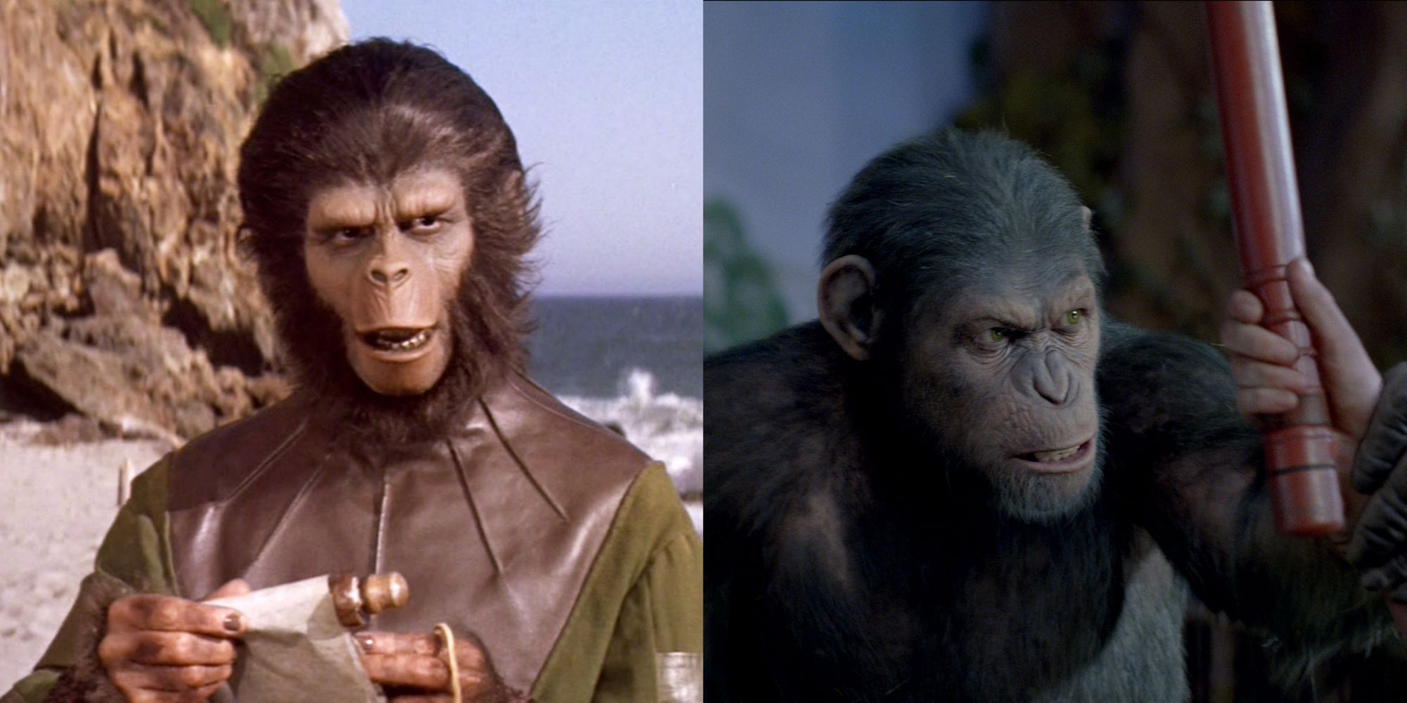 an ape in a beach and an ape holding a man's hand with a tube
