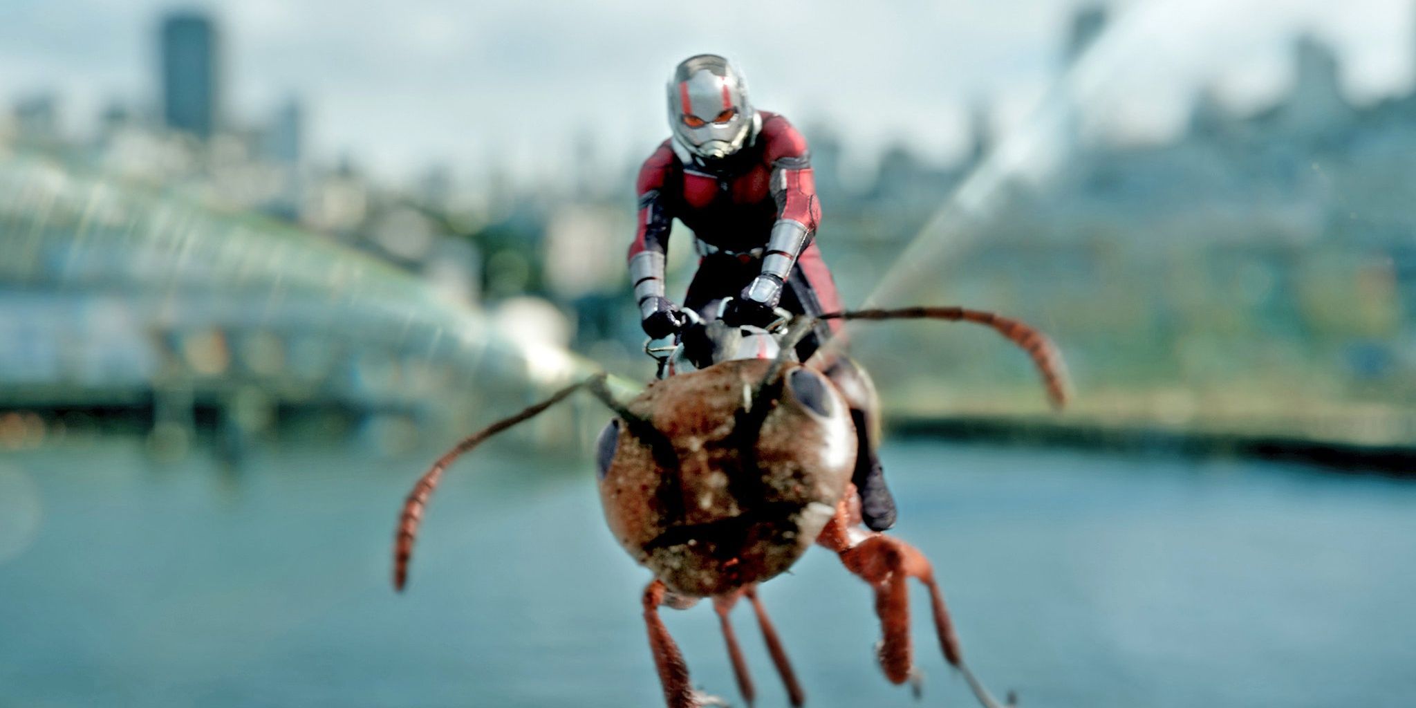 Ant-Man flying over a river on an ant