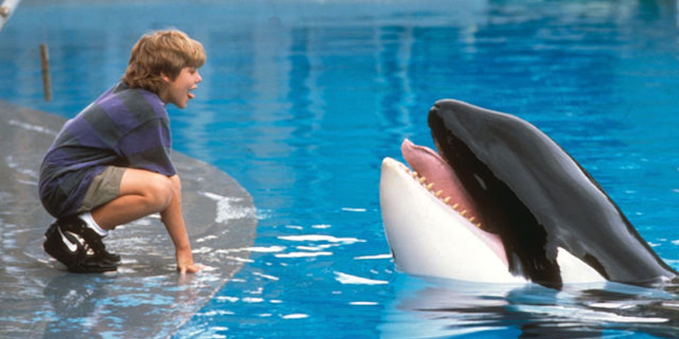 Jason James Richter as Jesse and Keiko as Willy in 'Free Willy' 