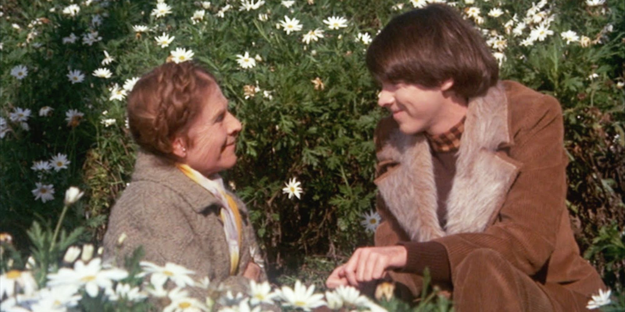 Harold and Maude smiling in a flower field