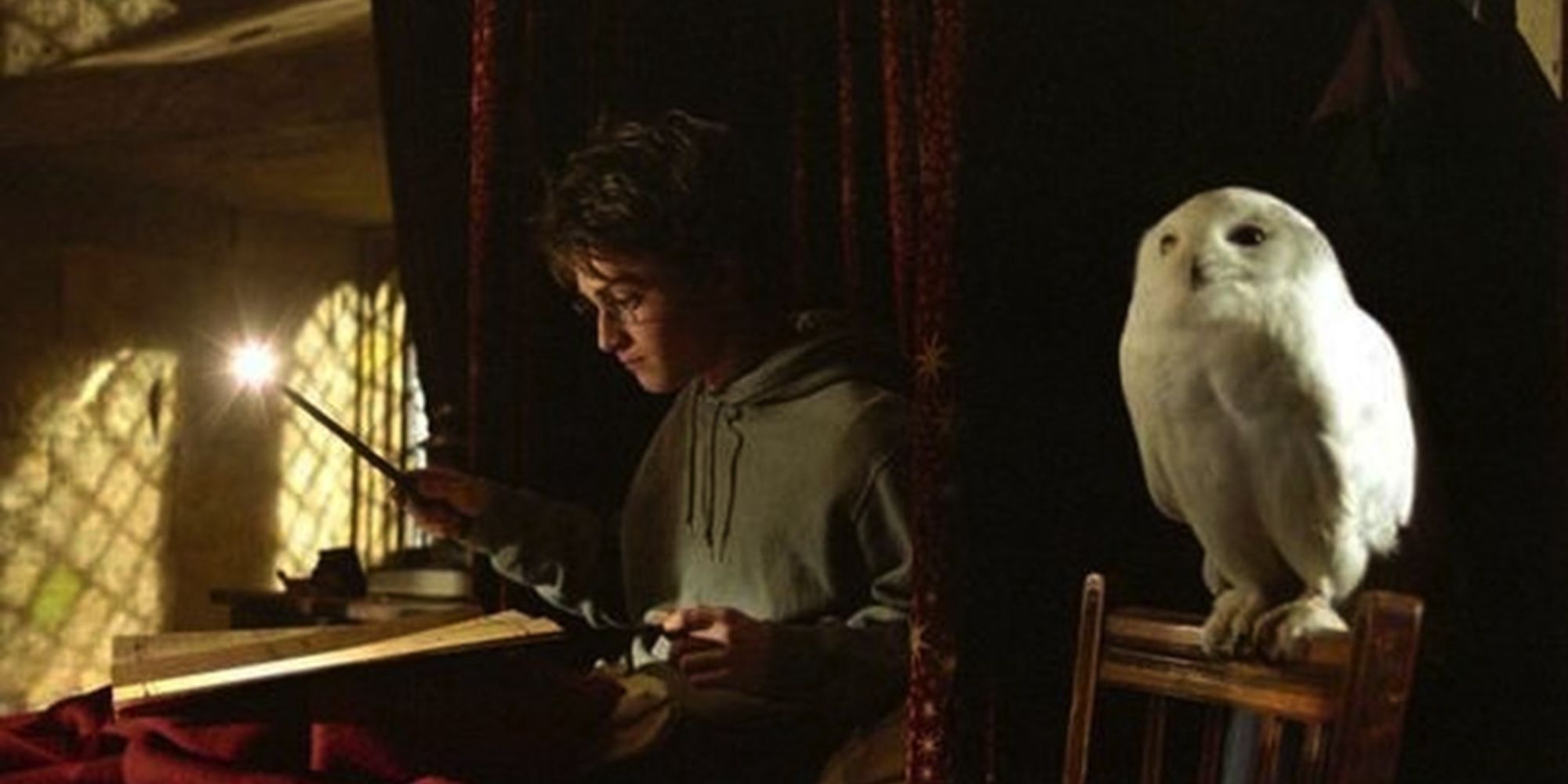 Hedwig sits on her perch next to Harry, who lays in bed with a book, using his wand as a light