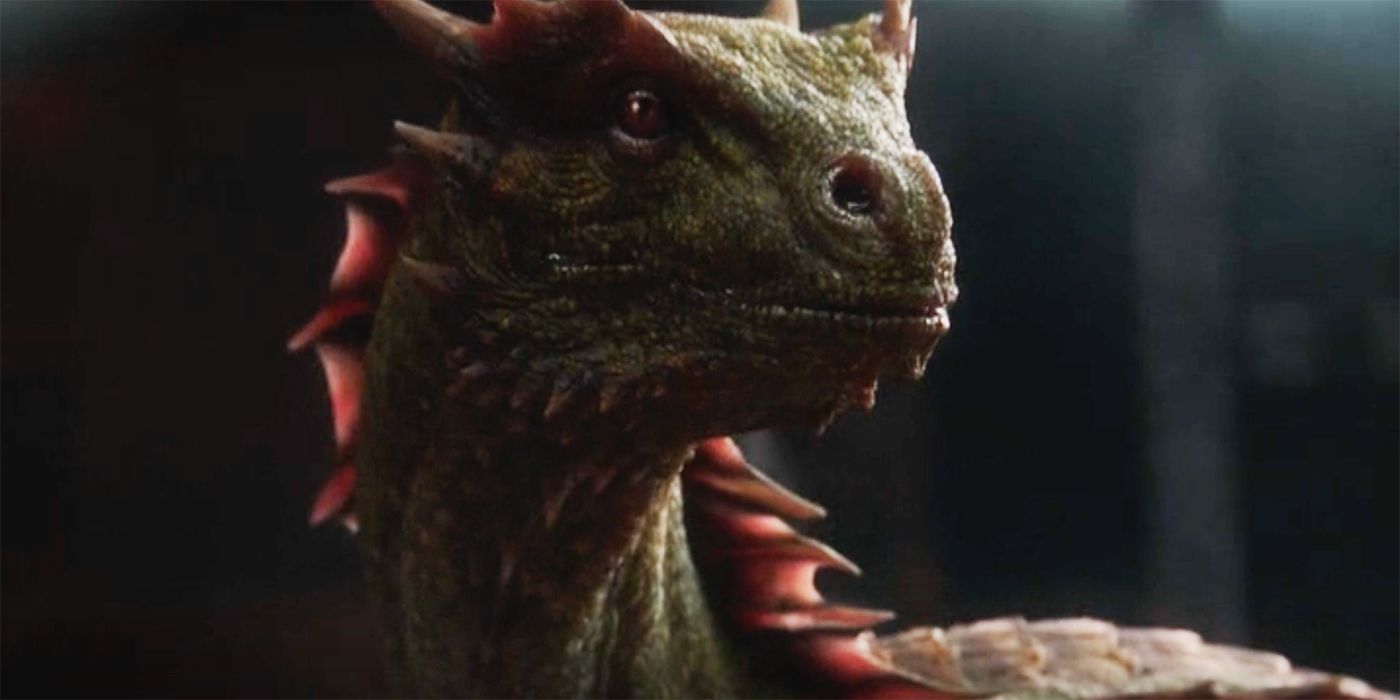 All of the Dragons in 'House of the Dragon' Explained