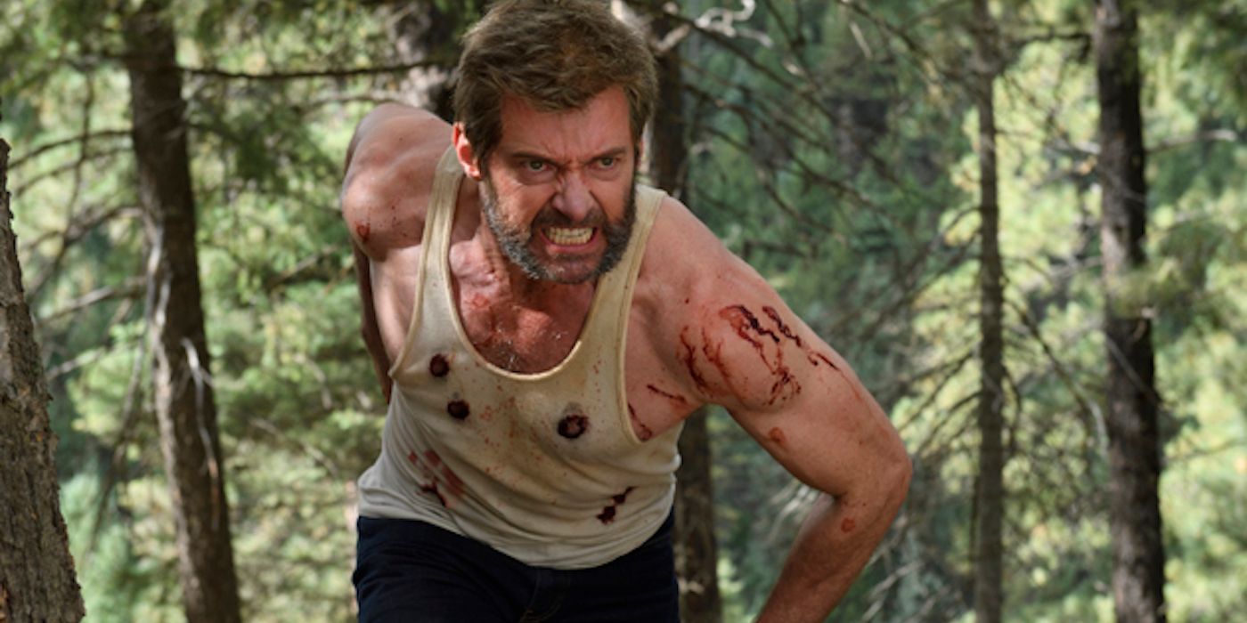 Seekor Wolverine berdarah berlari melalui hutan