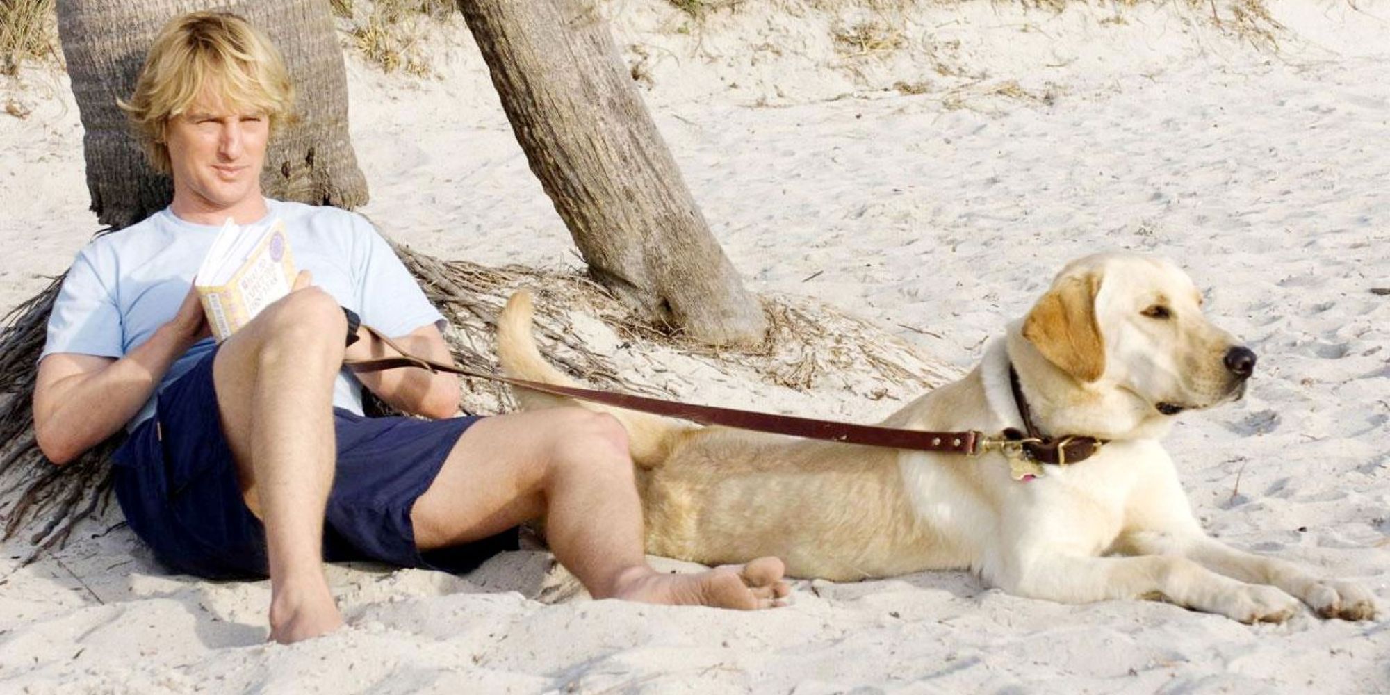 Owen Wilson sits against a post on a beach with a book in one hand, and Marley's leash in the other. Marley sits next to him. 
