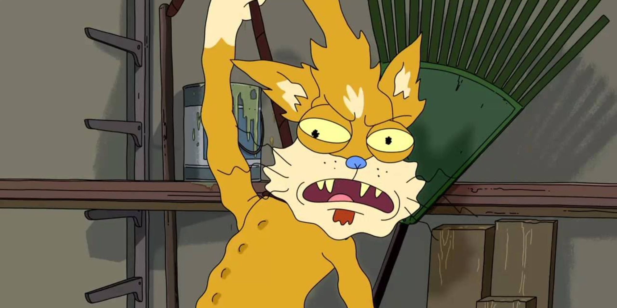 10 Characters We Hope Show Up Again in ‘Rick and Morty’ Season 6