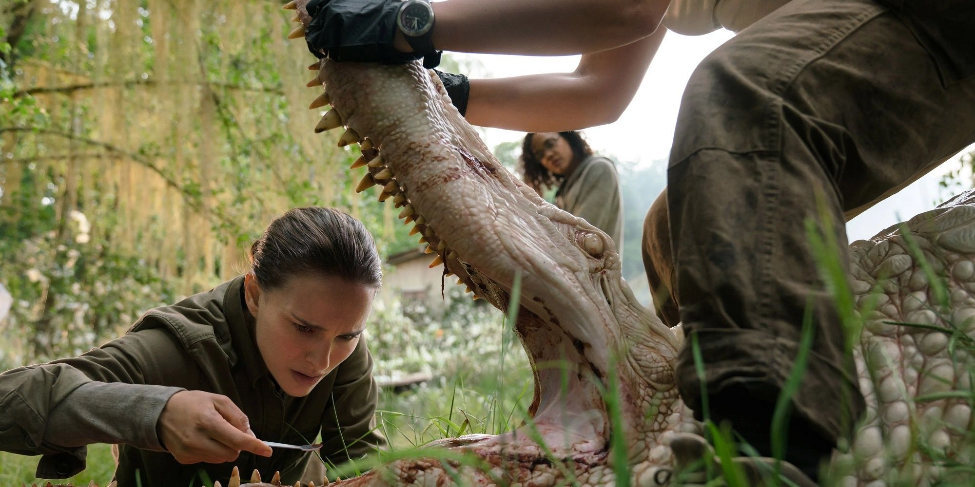 Lena enquête sur un alligator dans le Shimmer dans 'Annhilation'.