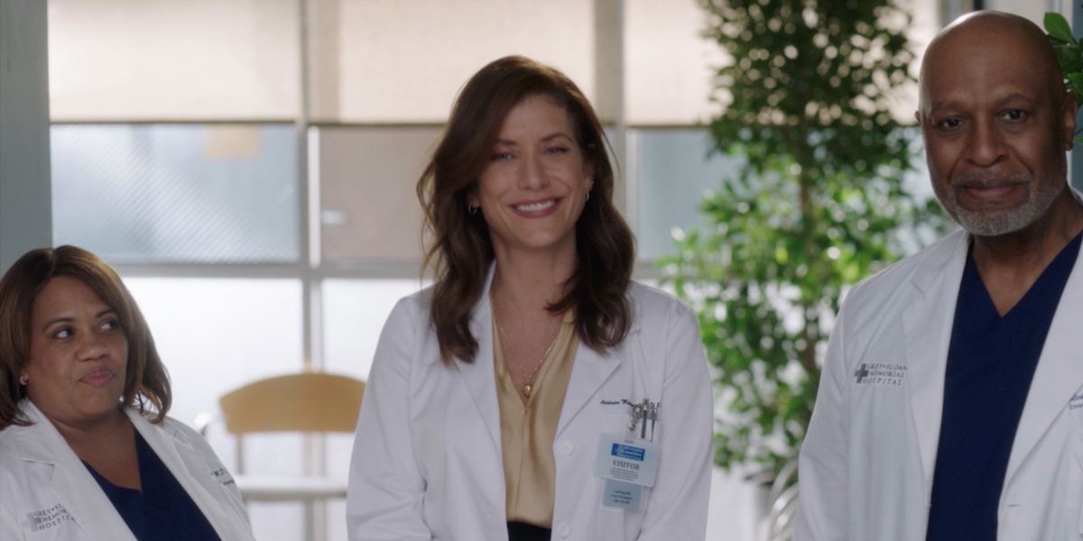 'Grey's Anatomy': 10 Iconic Addison Montgomery Scenes To Remember