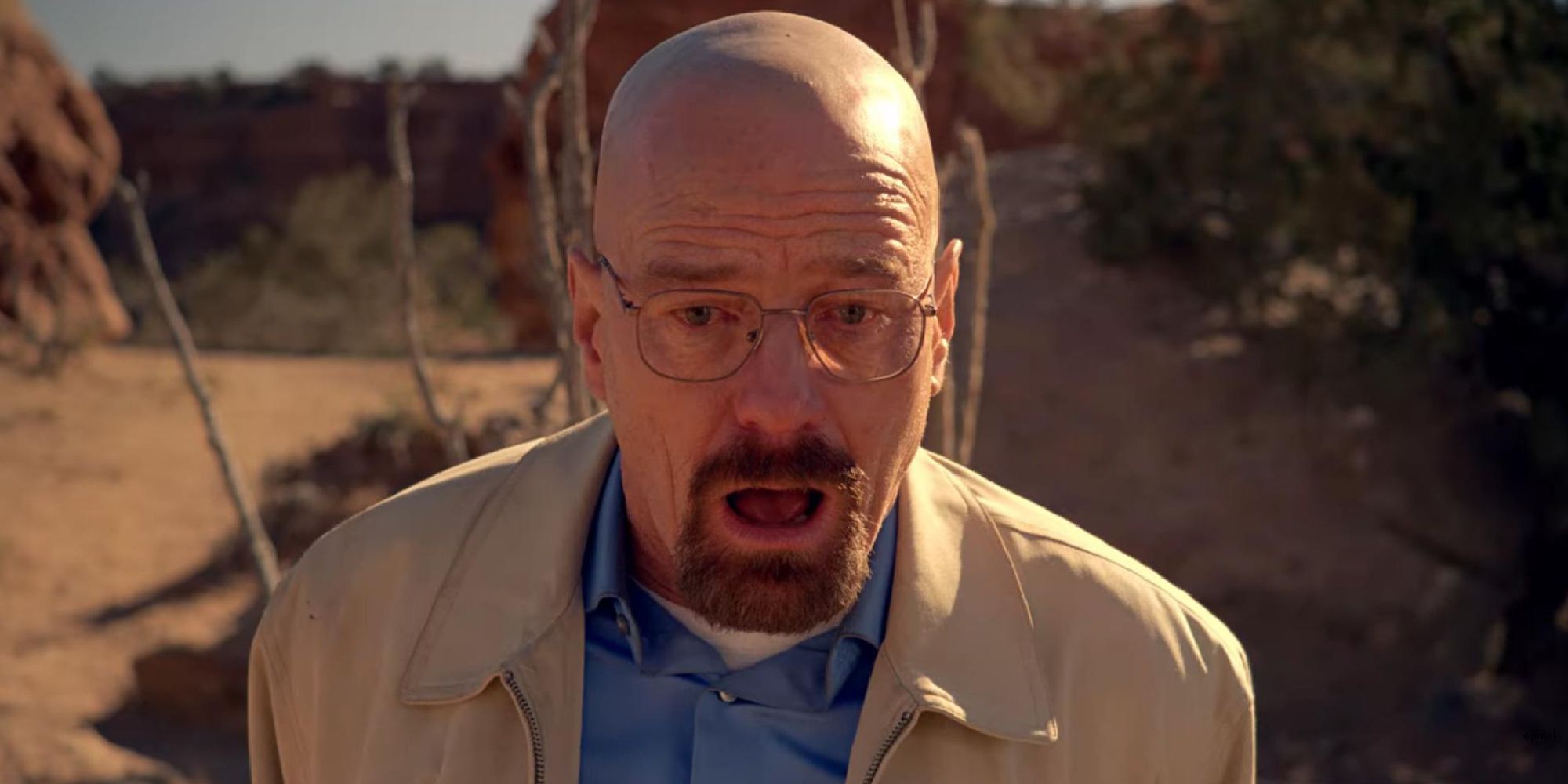 Walter White, mouth agape looking shocked in a scene from Ozymandias, Breaking Bad.
