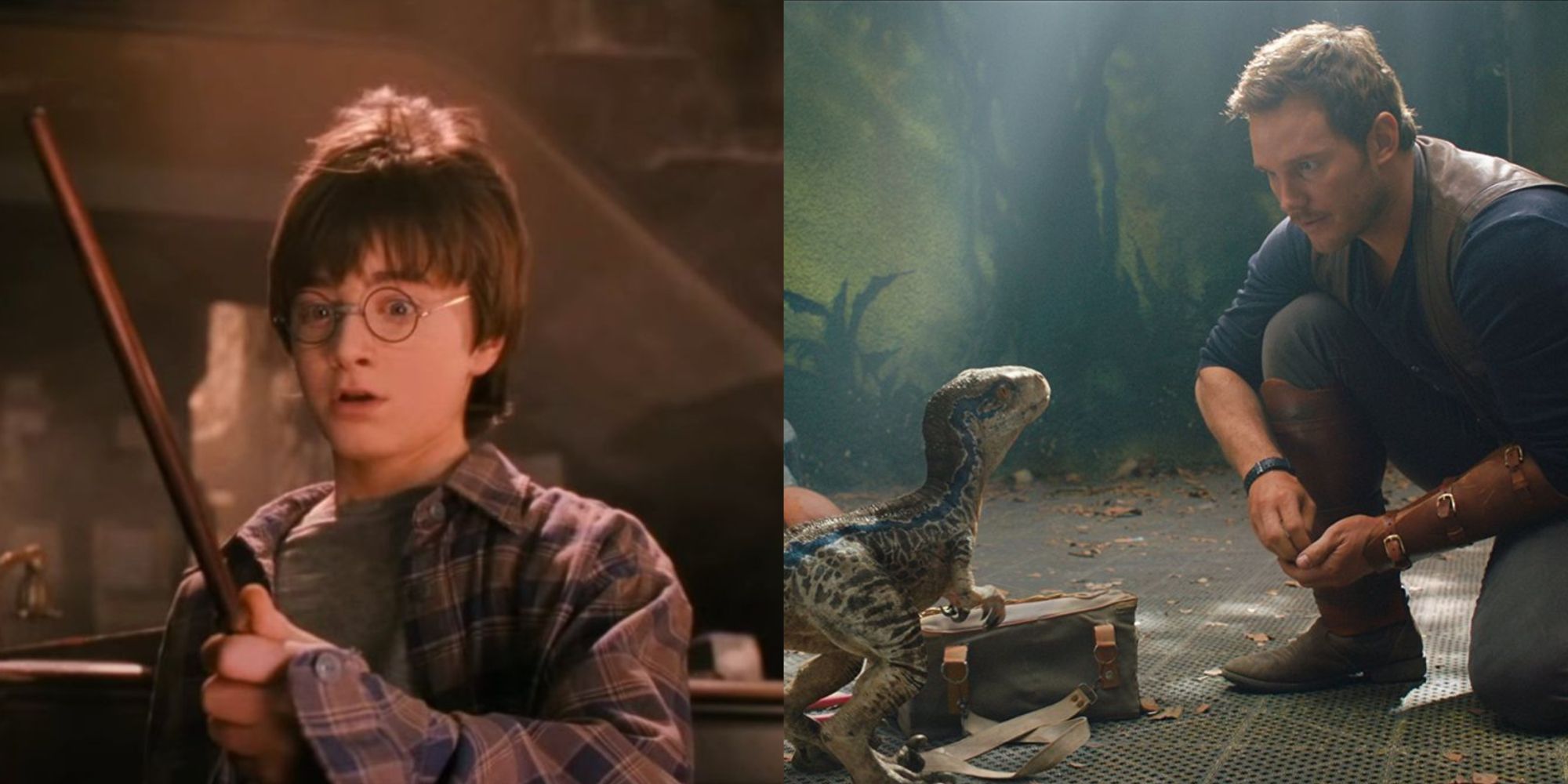 Daniel Radcliffe in Harry Potter, Chris Pratt in Jurassic World