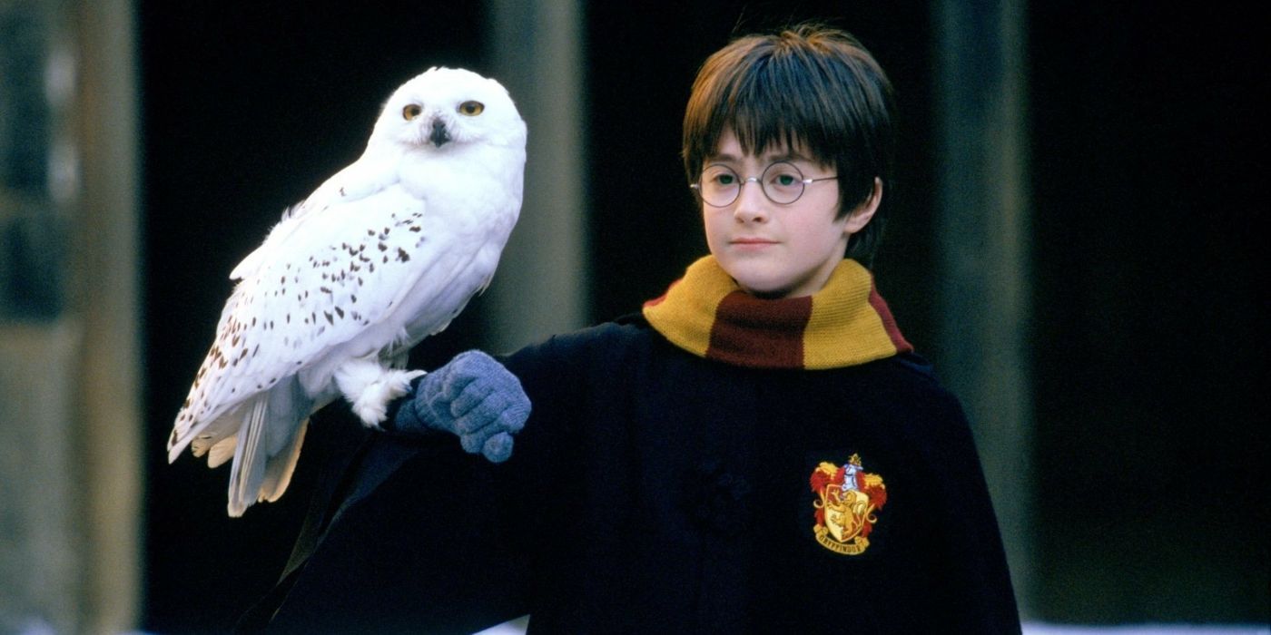 Young Harry with Hedwig at Hogwarts in Harry Potter and the Sorcerer's Stone.