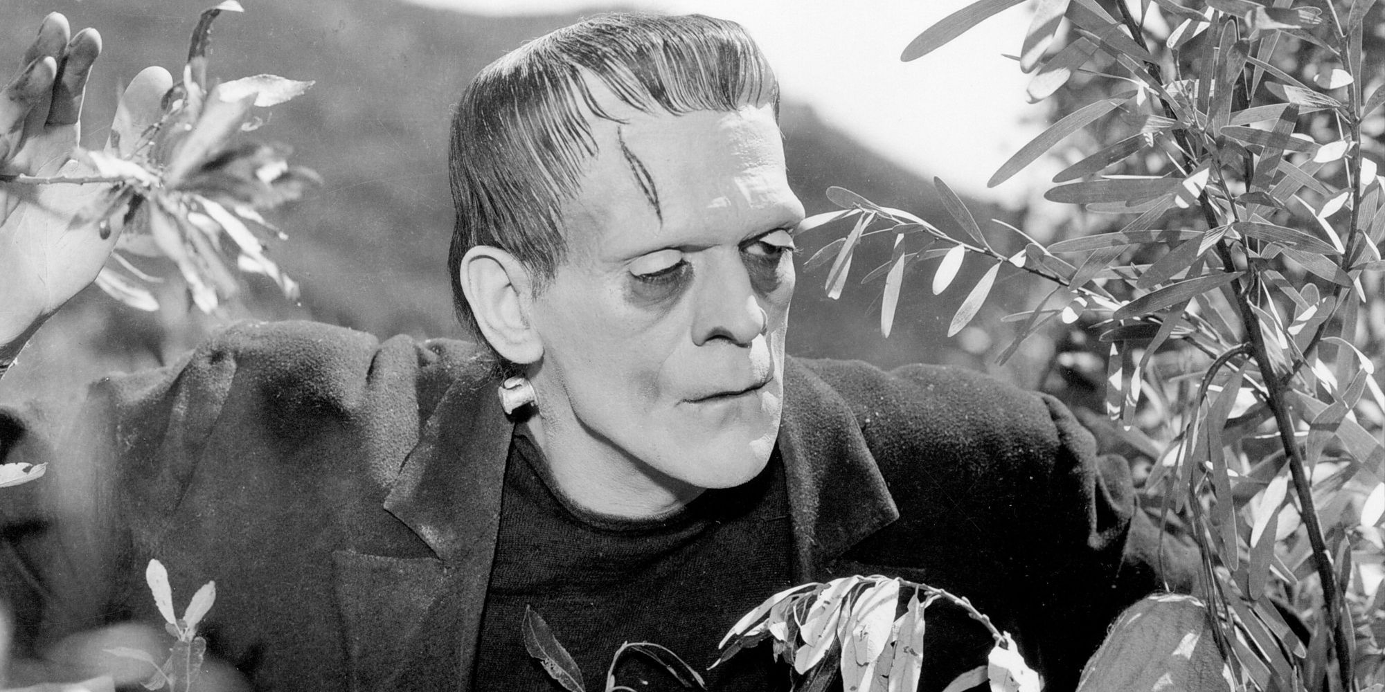 Iconic Horror Movies-Frankenstein