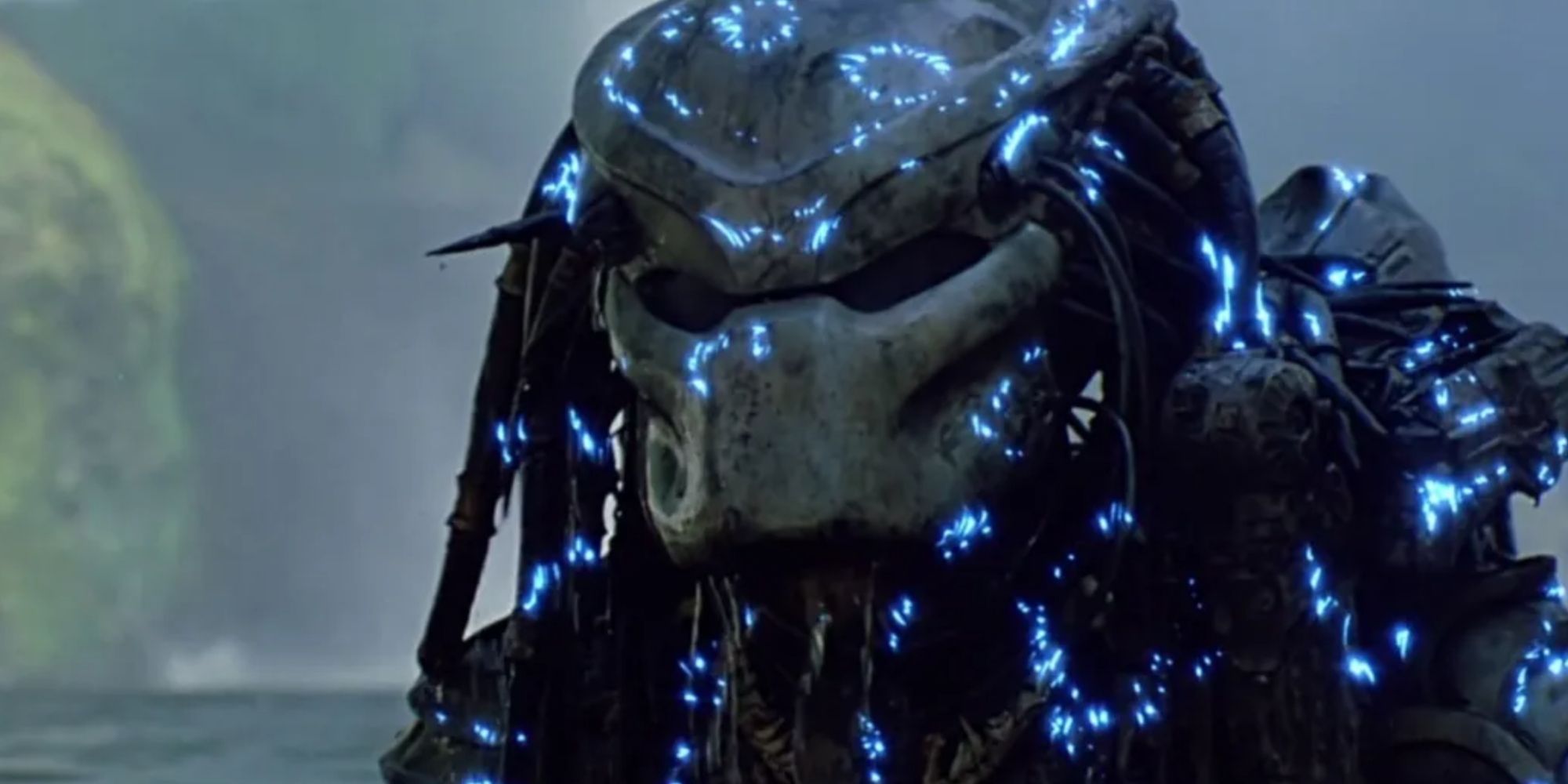 Predator with Malfunctioning Camo