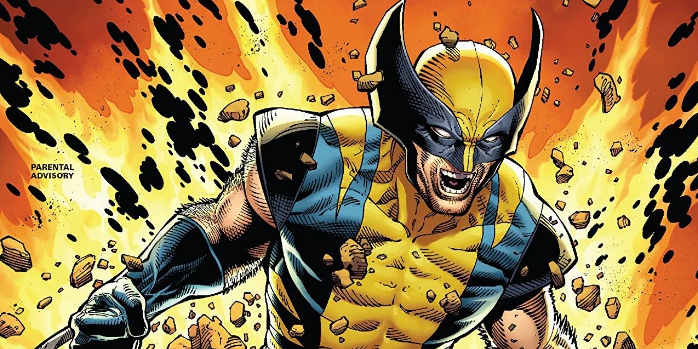 Angry Wolverine as an illustration