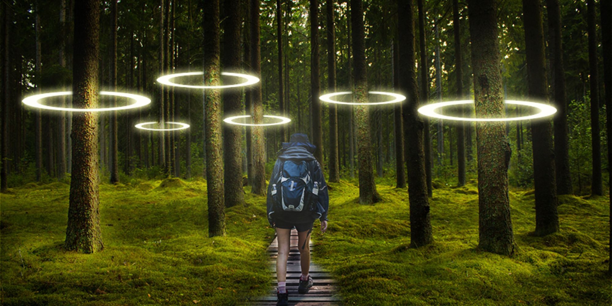 quelqu'un qui marche dans la forêt avec un anneau de lumière autour des arbres